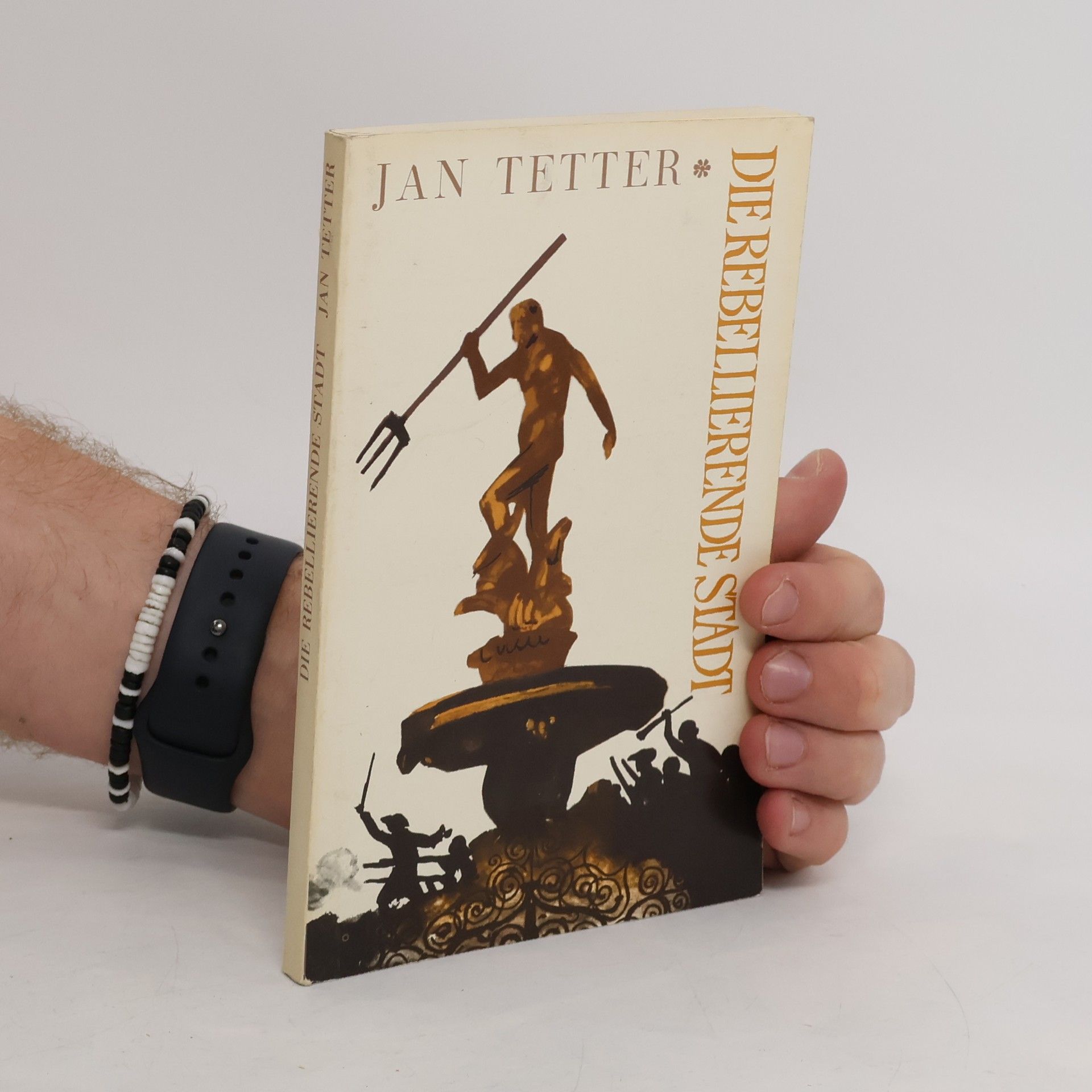 Jan Tetter Die Rebellierende Stadt