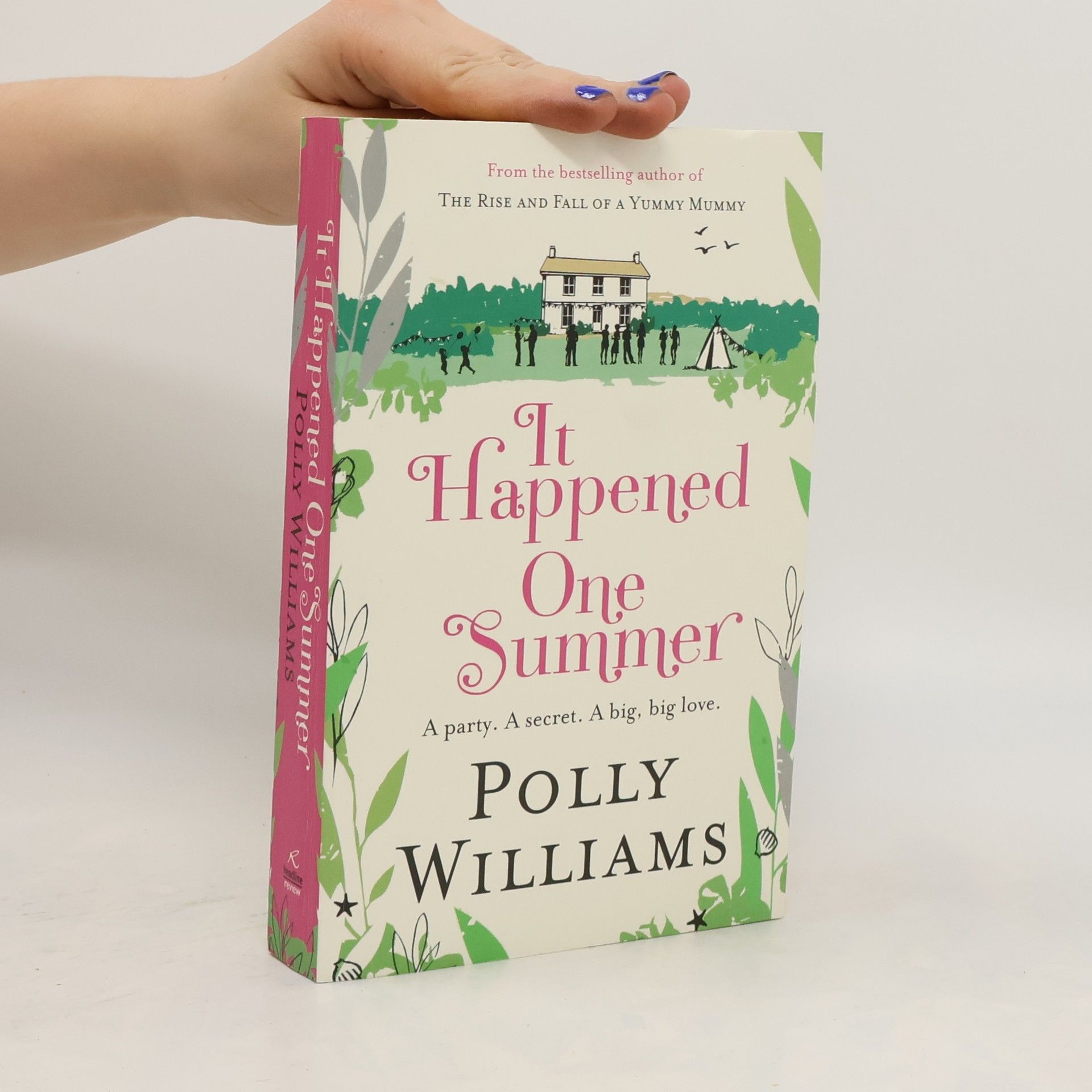 Polly Williams It Happened One Summer