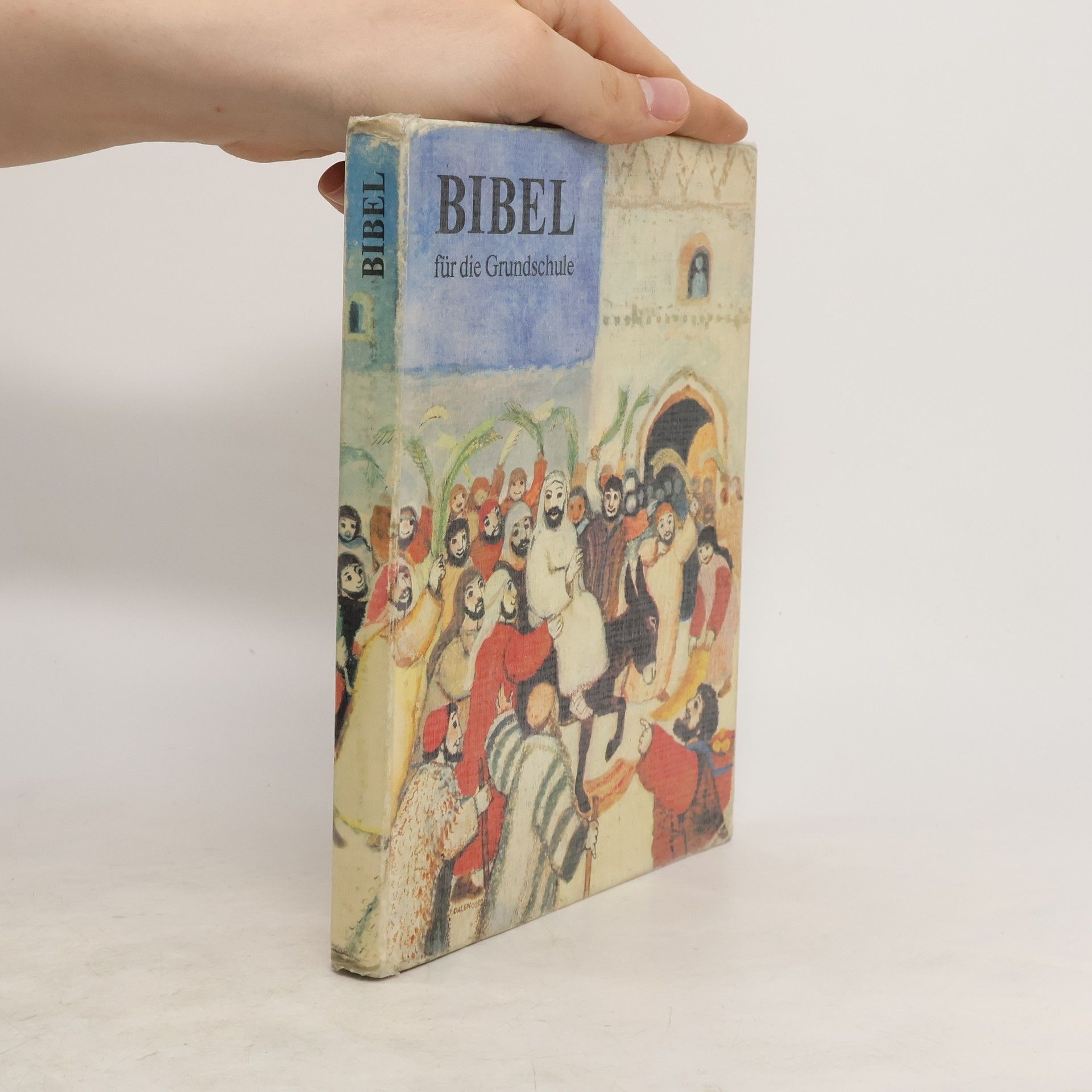 Deutschen Bischofskonferenz Bibel für die Grundschule