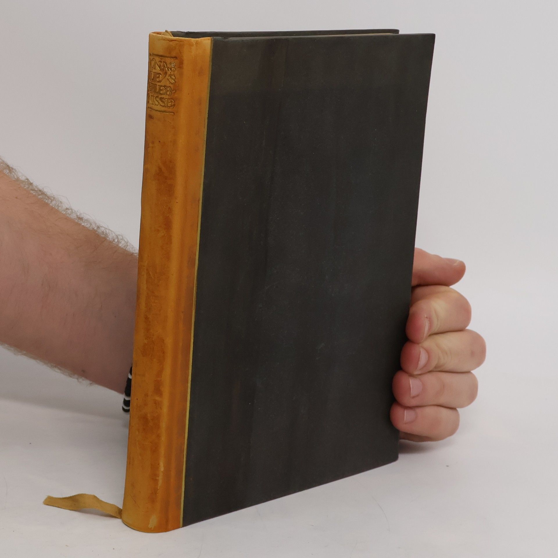 Erik Røring Møinichen Lie Jonas Lie's Erlebnisse