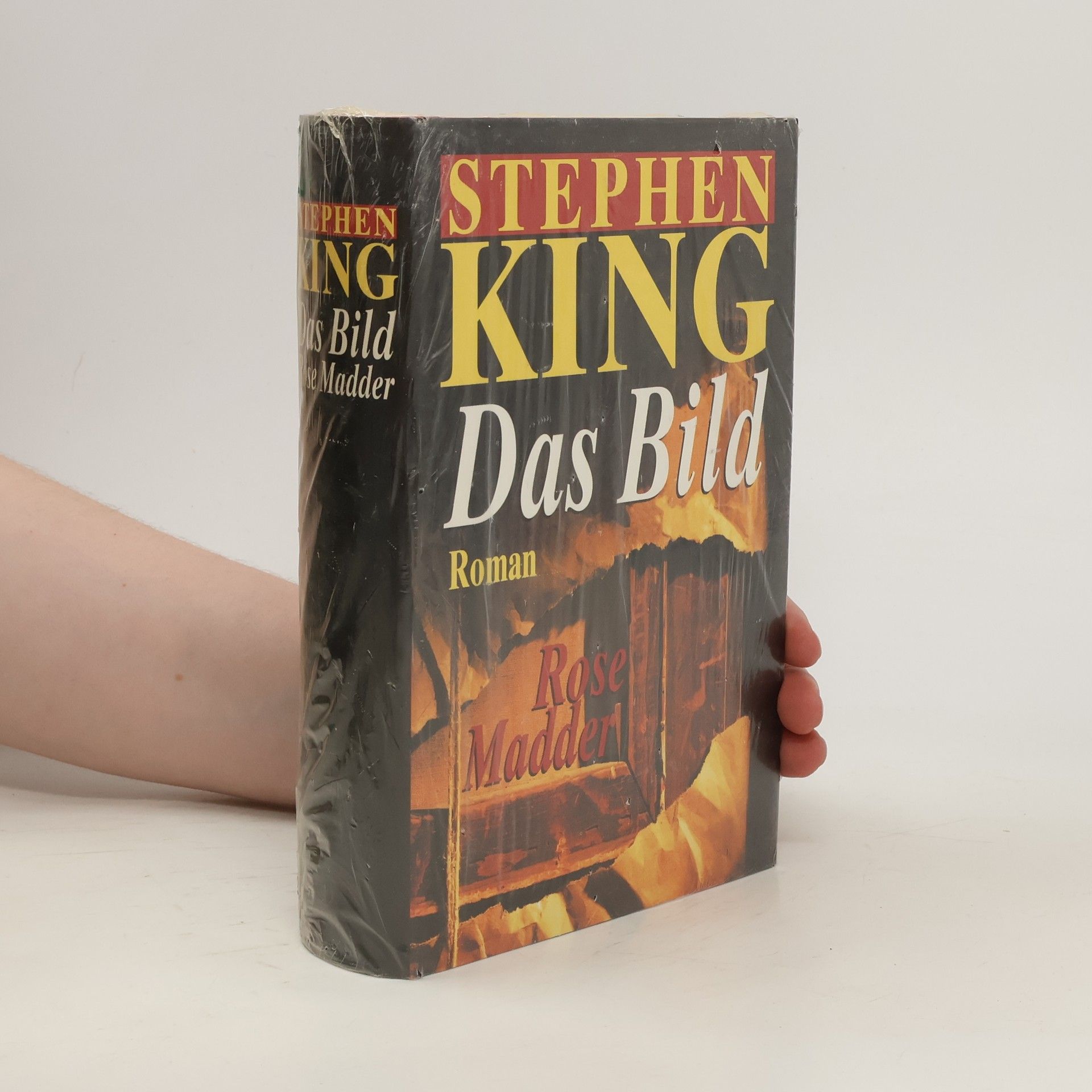 Stephen King Das Bild. Rose Madder