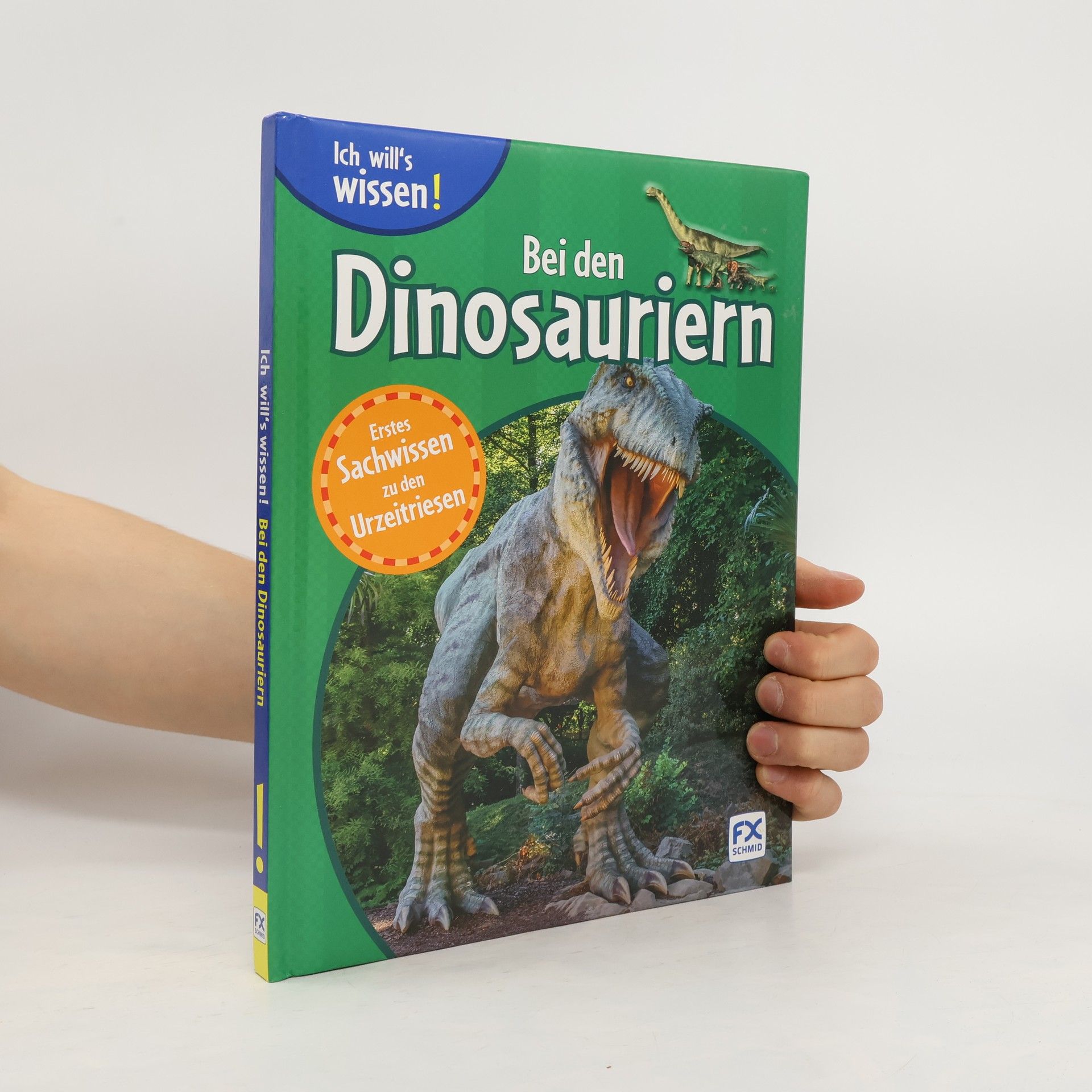 Laura Aceti Bei den Dinosauriern