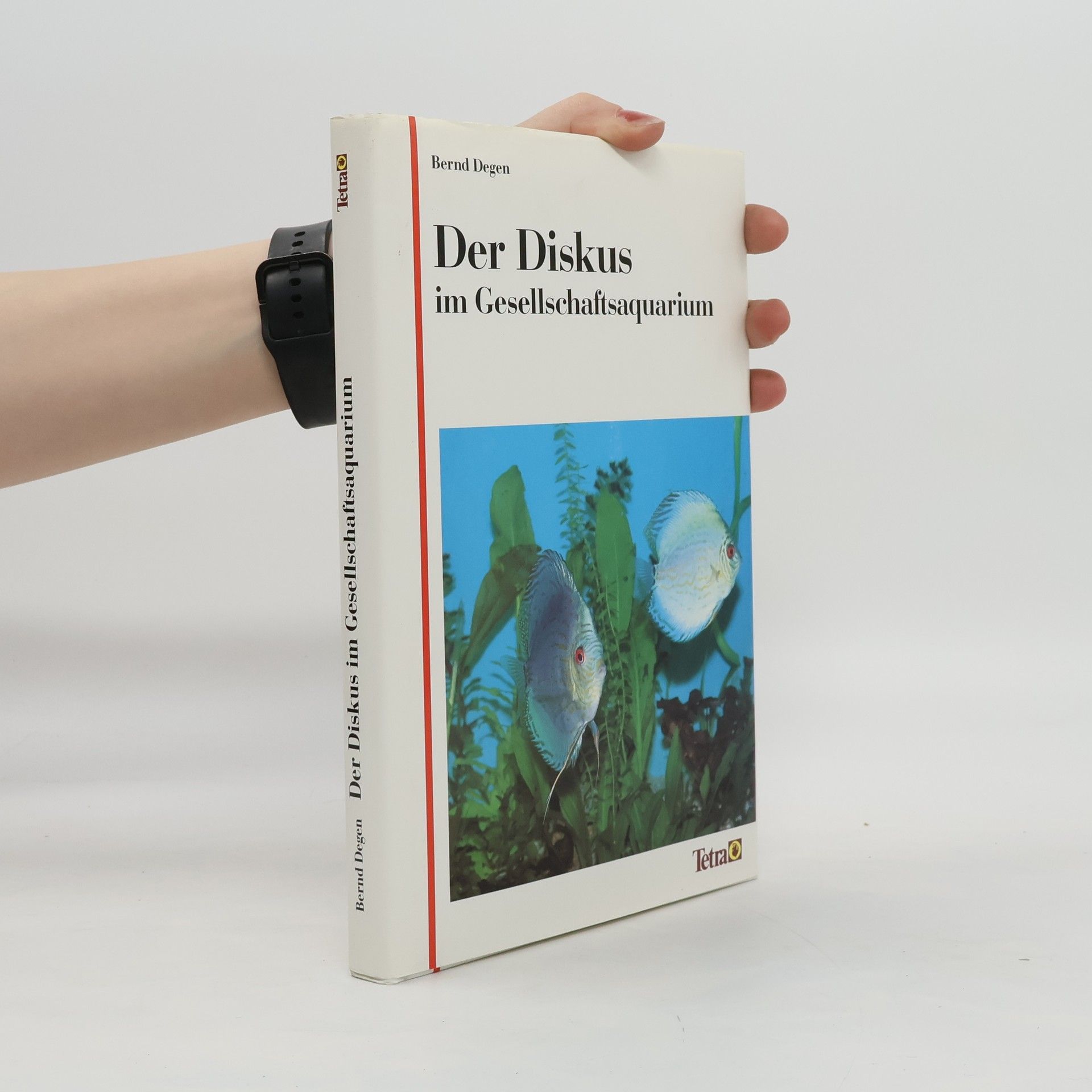 Bernd Degen Der Diskus im Gesellschaftsaquarium