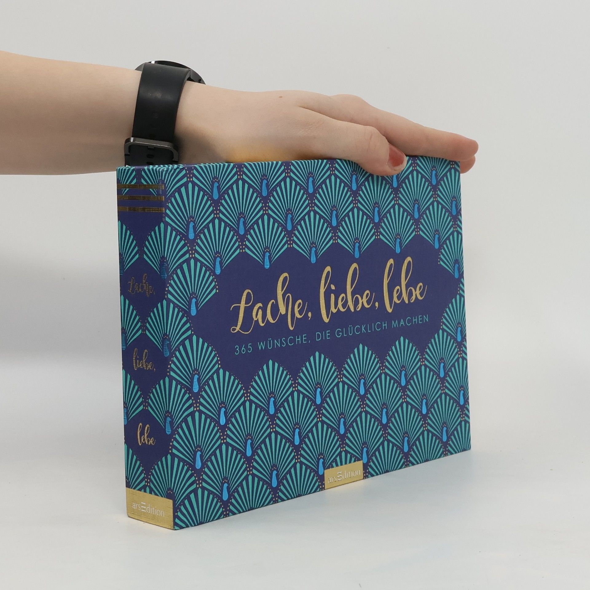 kolektiv Lache, liebe, lebe