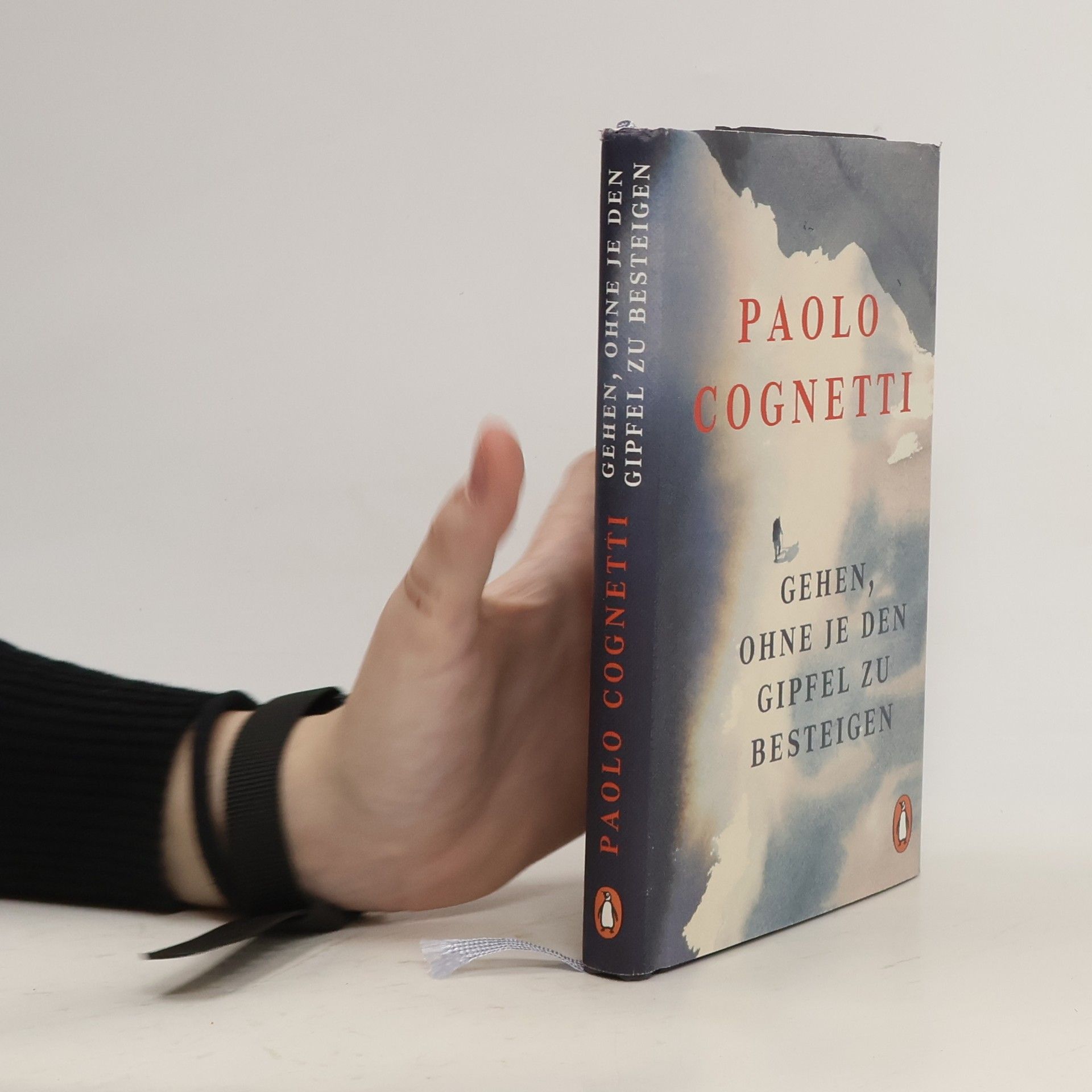 Paolo Cognetti Gehen, ohne je den Gipfel zu besteigen