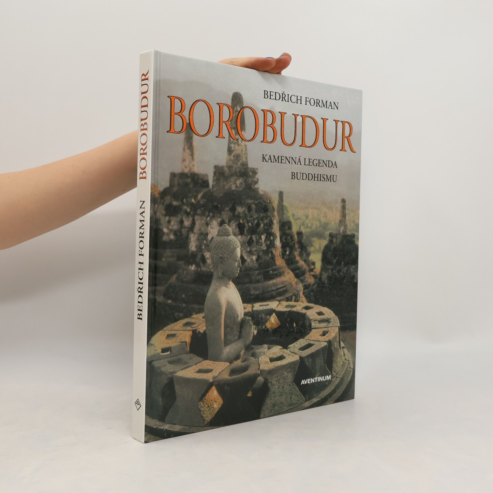 Bedřich Forman Borobudur : kamenná legenda buddhismu