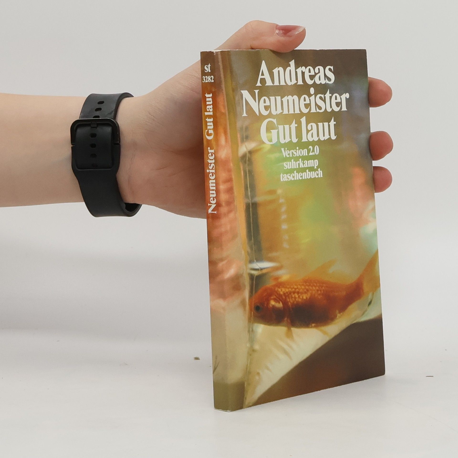 Andreas Neumeister Gut laut. Version 2.0. Roman