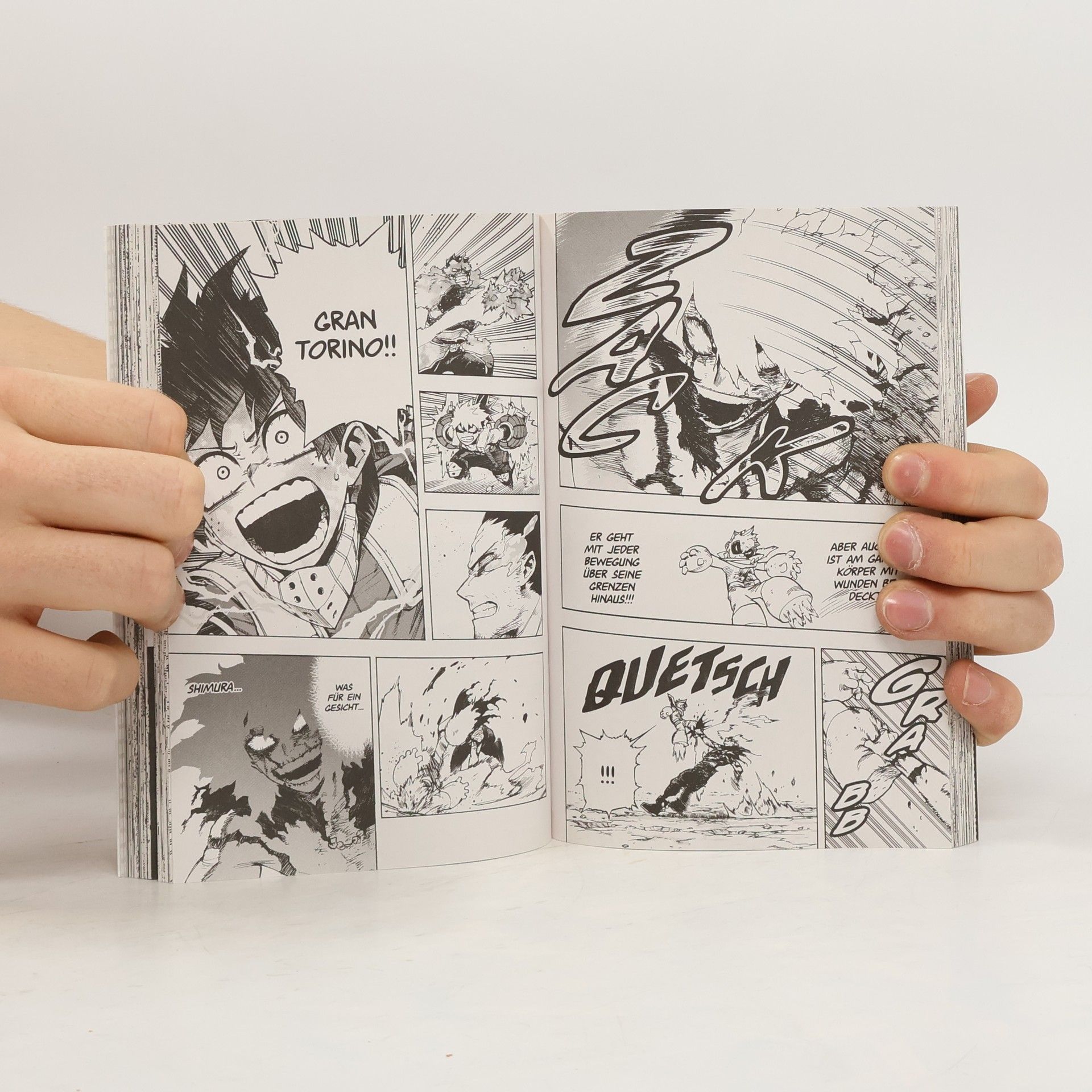Kōhei Horikoshi My Hero Academia 29