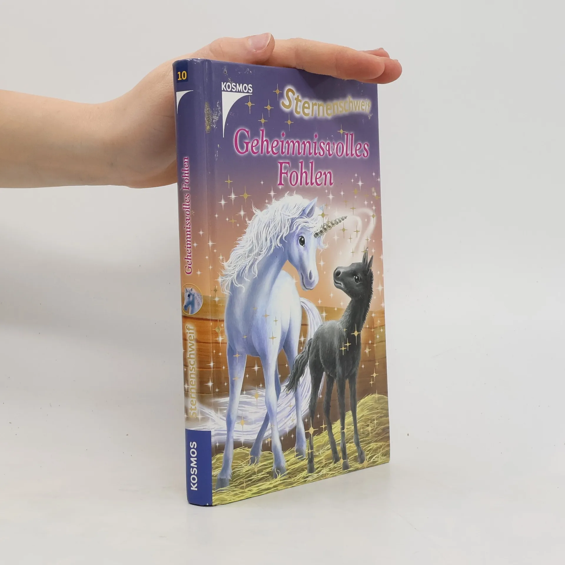 Sternenschweif : Geheimnisvolles Fohlen | Boek | Hardcover | Linda Chapman | DE
