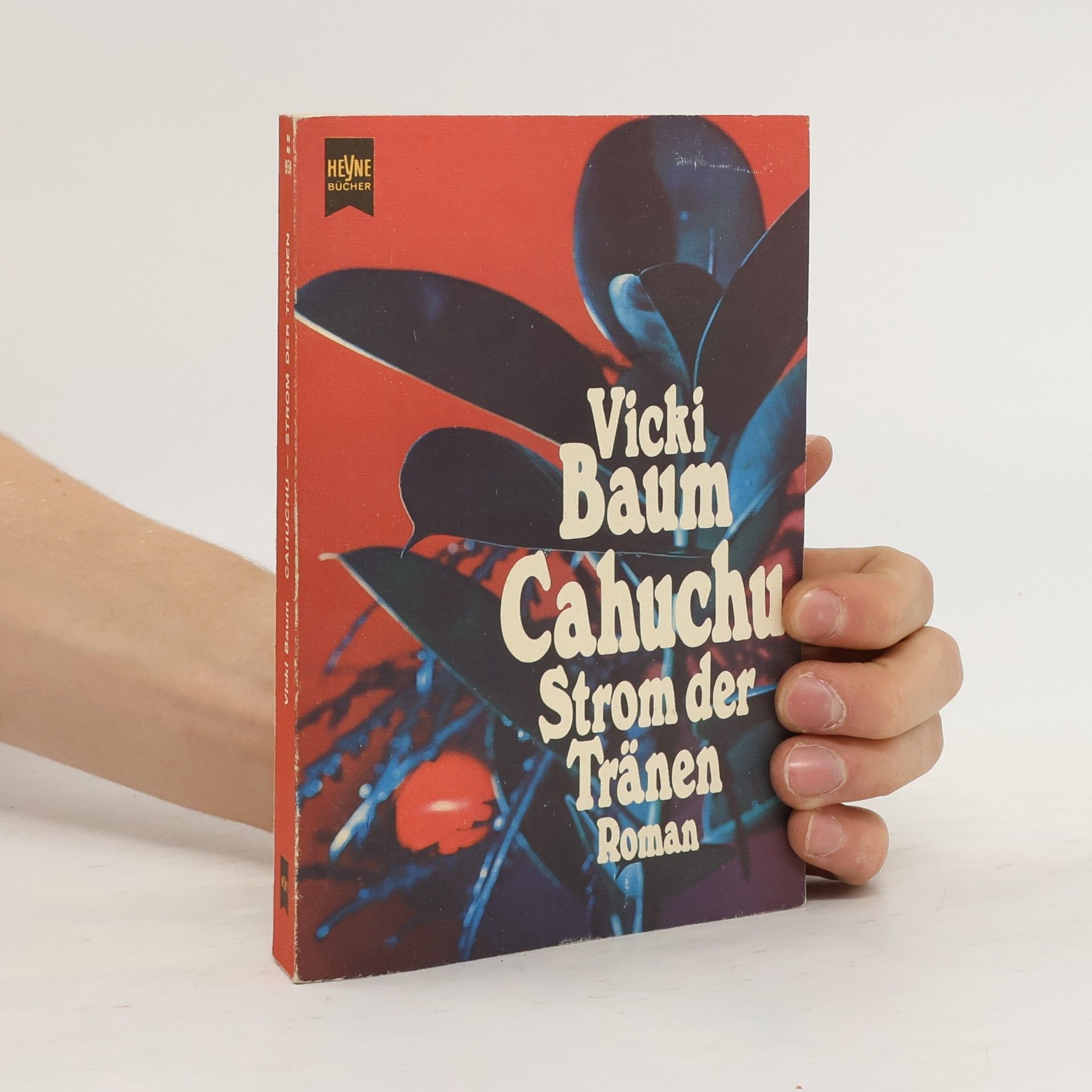 Vicki Baum Cahuchu, Strom der Tränen