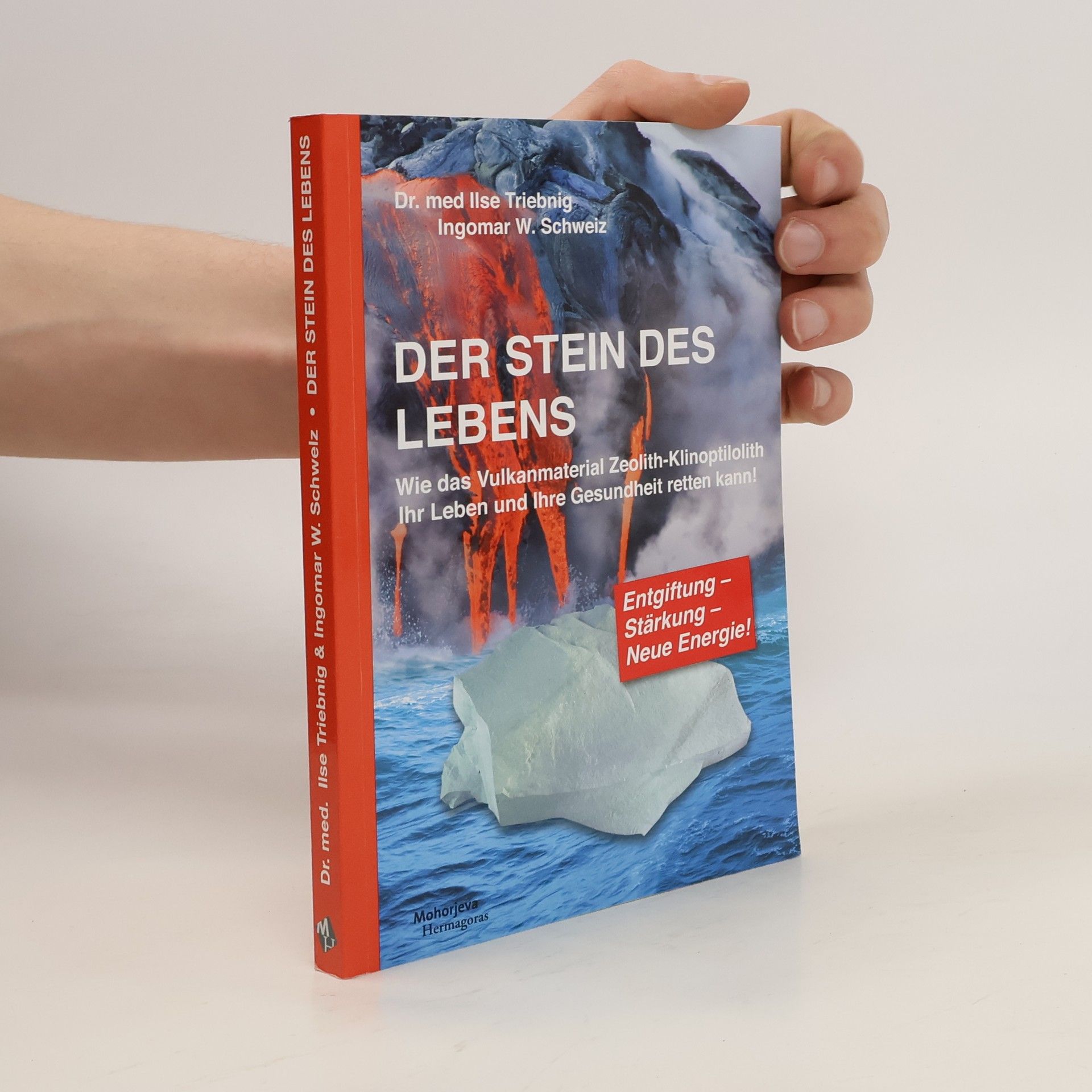 Ilse Triebnig Der Stein des Lebens