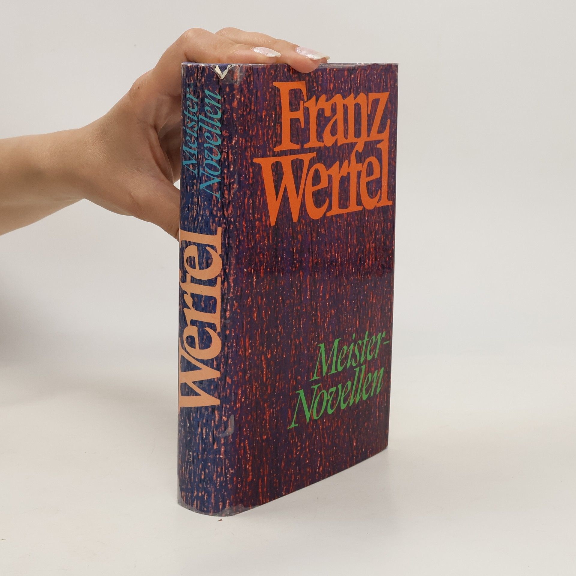 Franz Werfel Meister Novellen