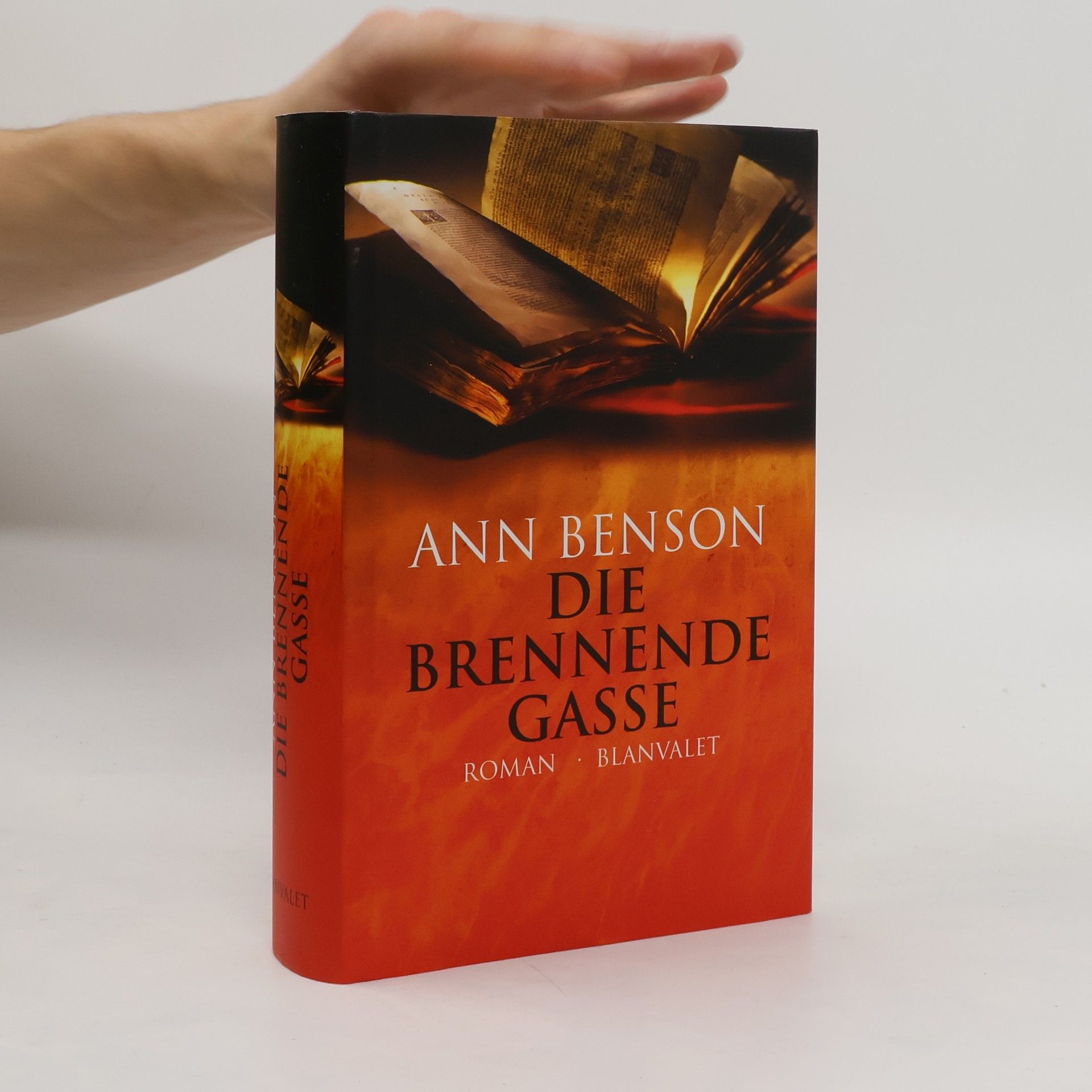 Ann Benson Die brennende Gasse
