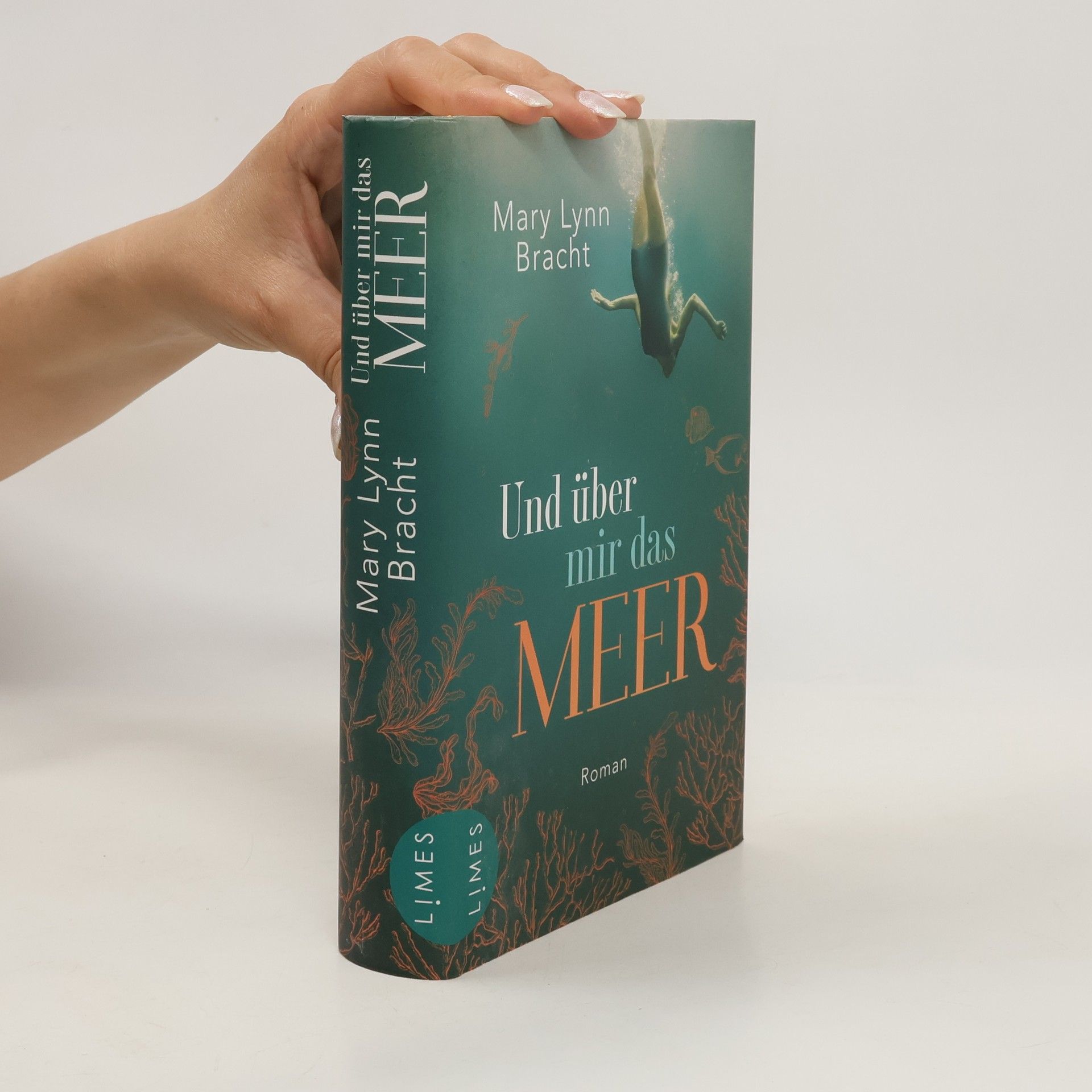 Mary Lynn Bracht Und über mir das Meer
