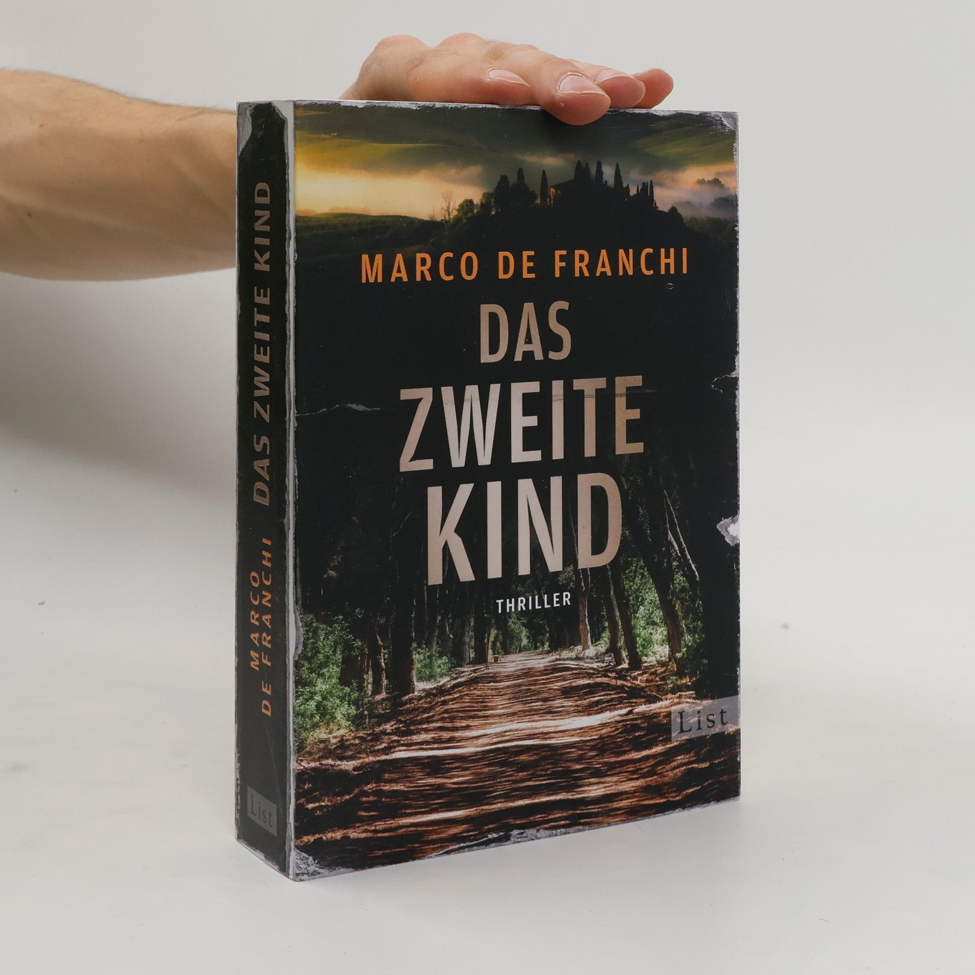 Marco De Franchi Das zweite Kind. Thriller | Der düstere Krimi-Bestseller aus Italien