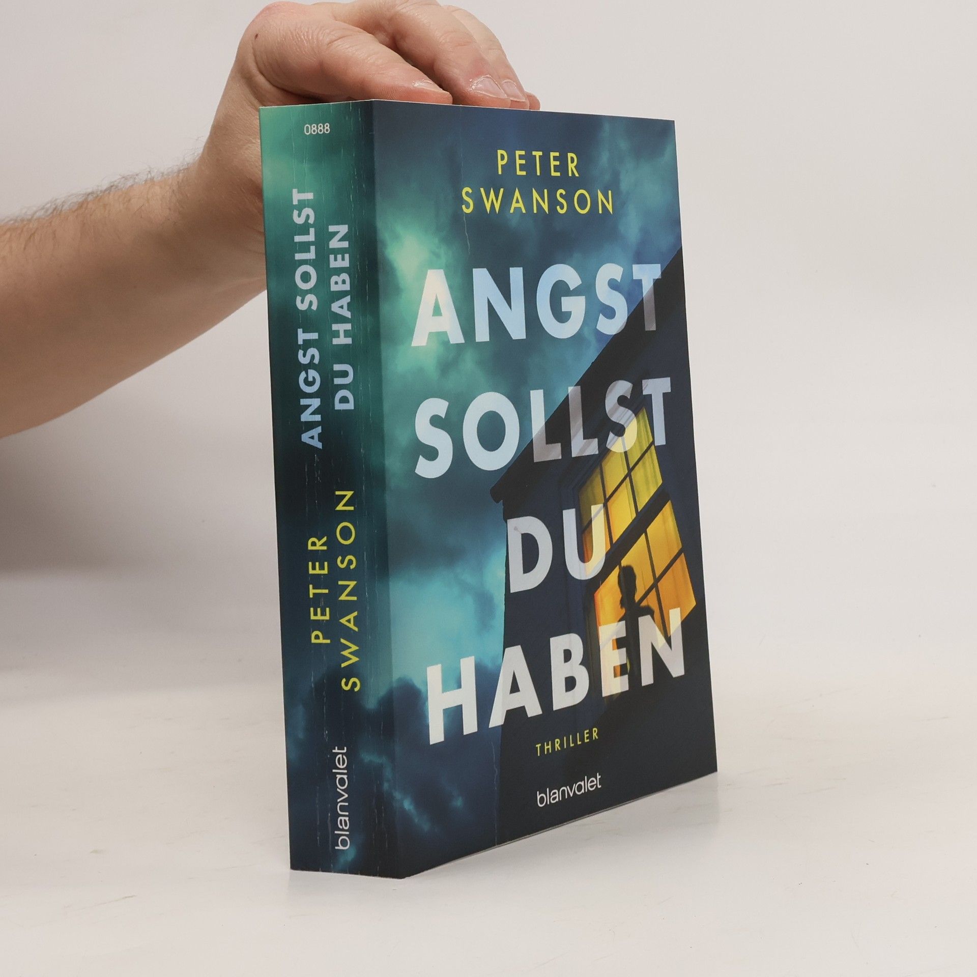 Peter Swanson Angst sollst du haben