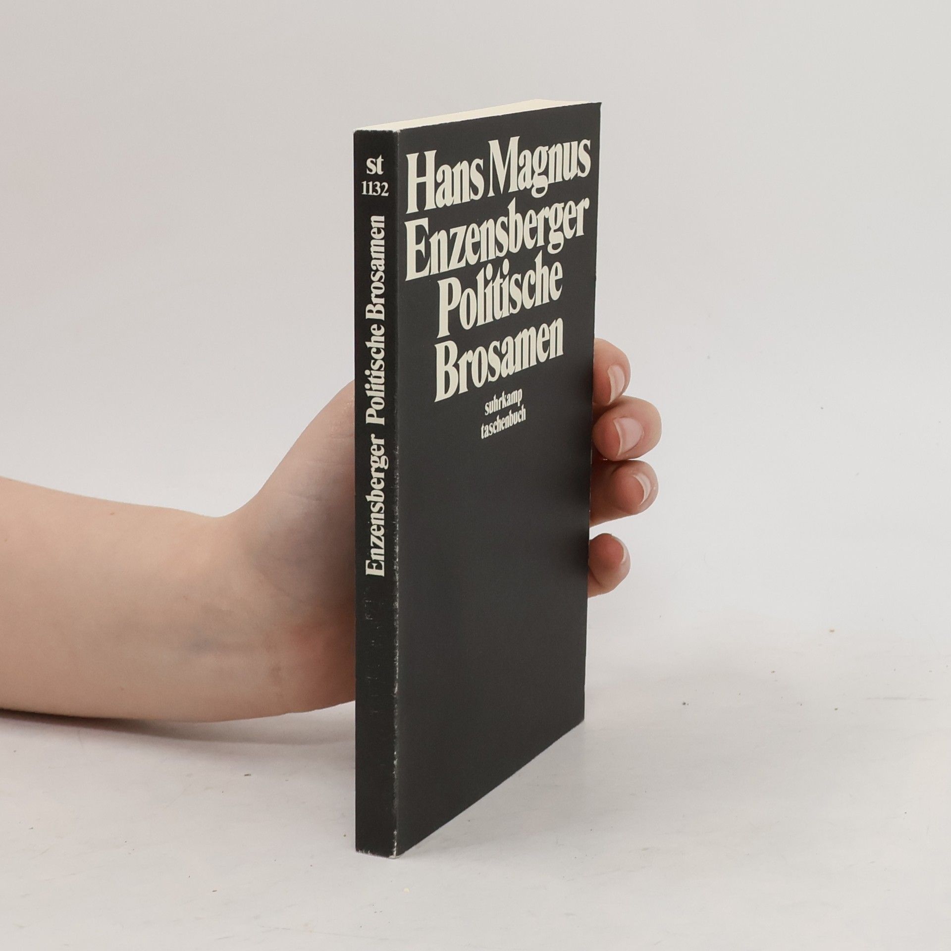 Hans Magnus Enzensberger Politische Brosamen