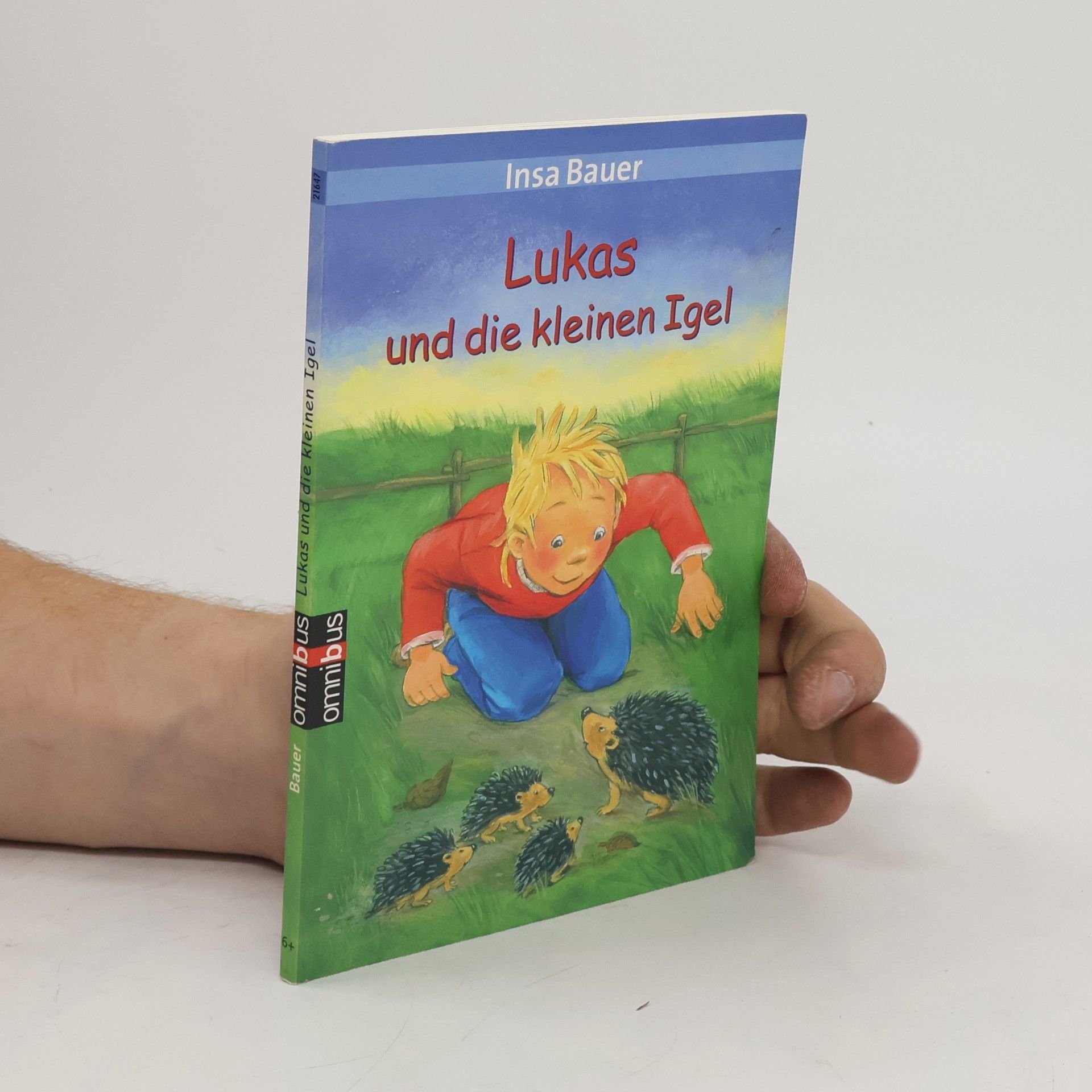 Insa Bauer Lukas und die kleinen Igel