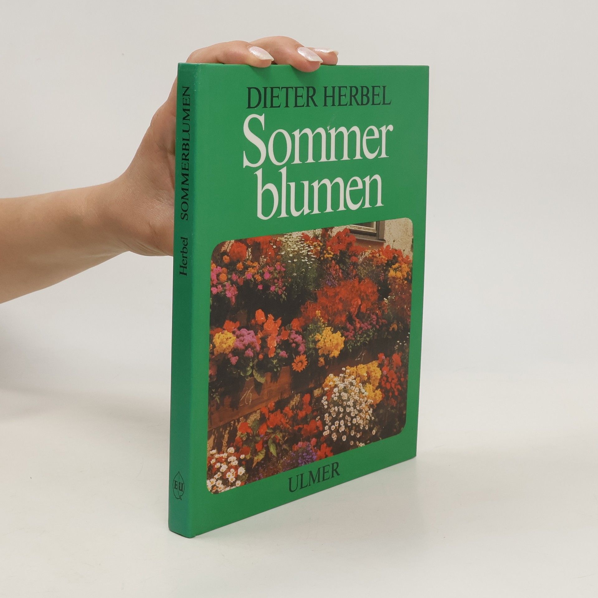 Dieter Herbel Sommerblumen