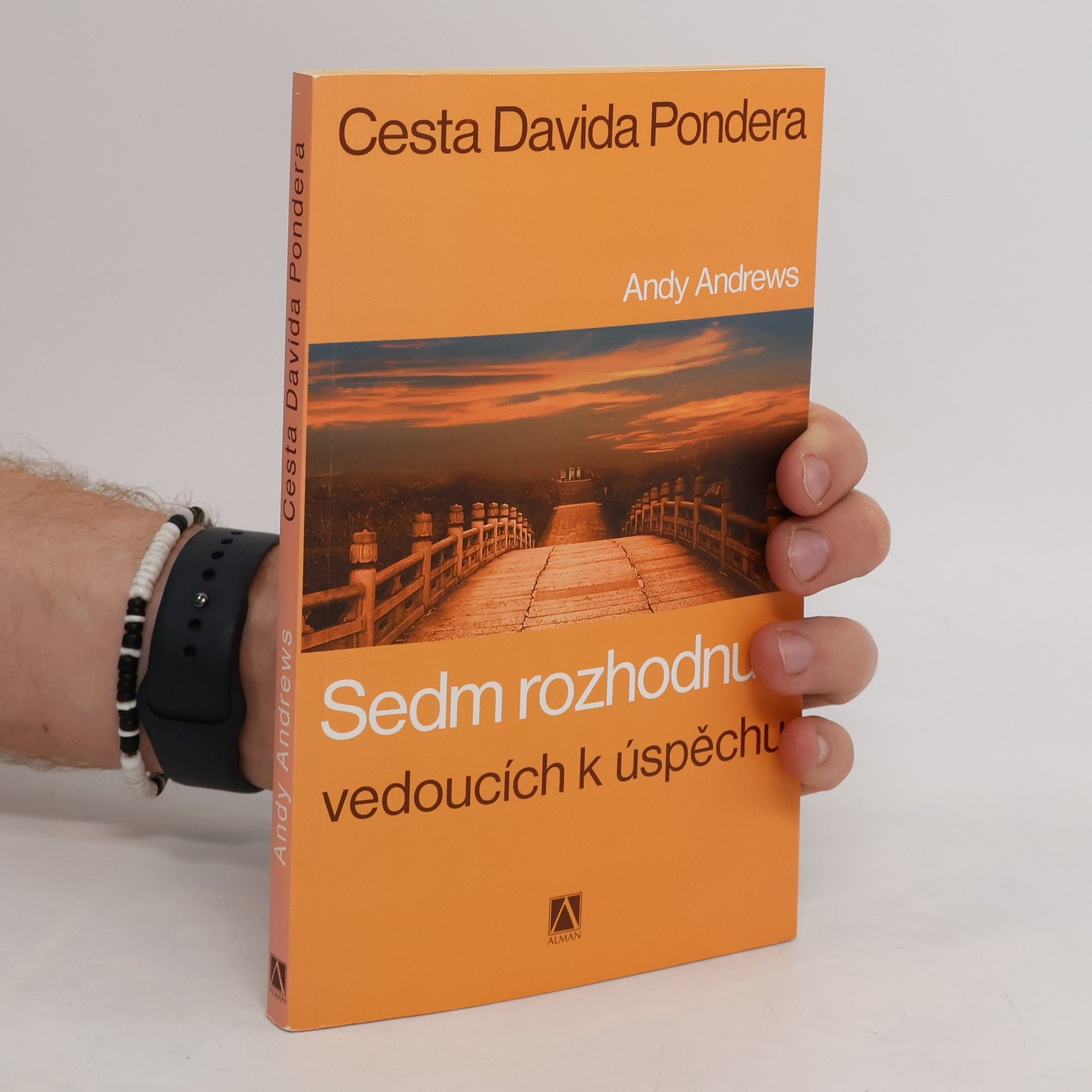 Andy Andrews Cesta Davida Pondera