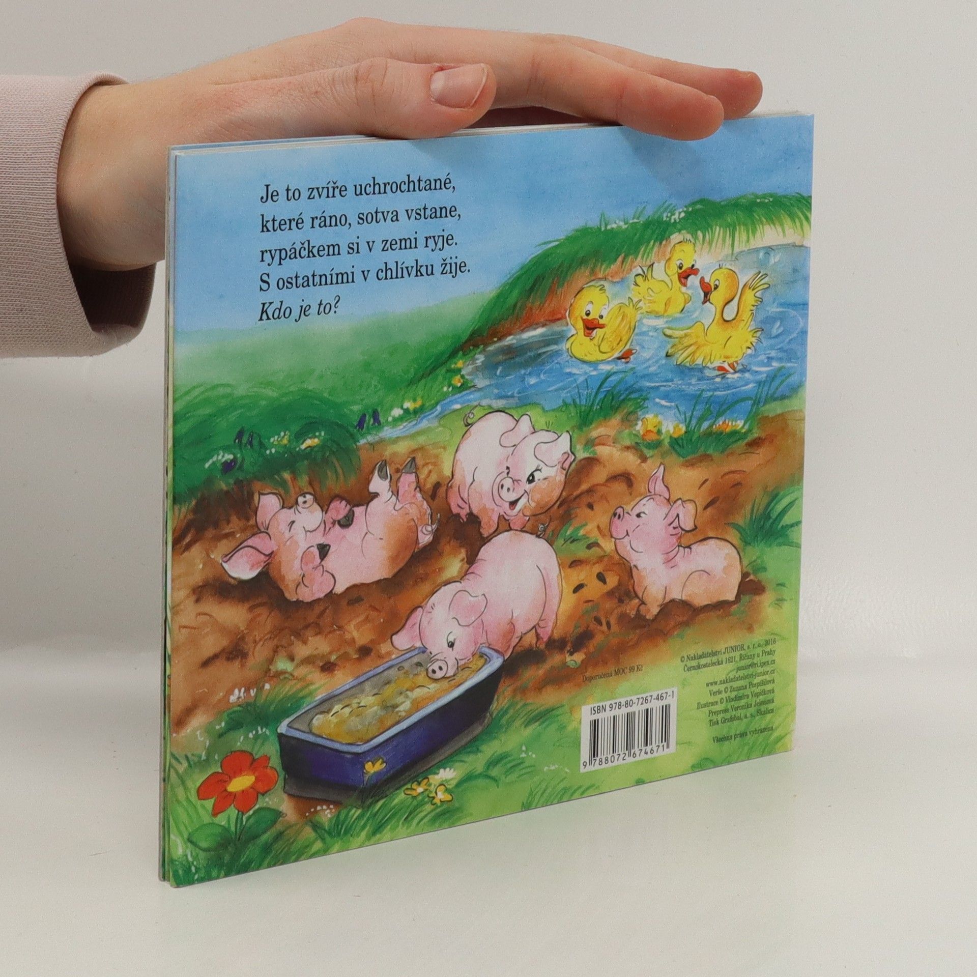 Zuzana Pospíšilová Hádanky ze dvorku