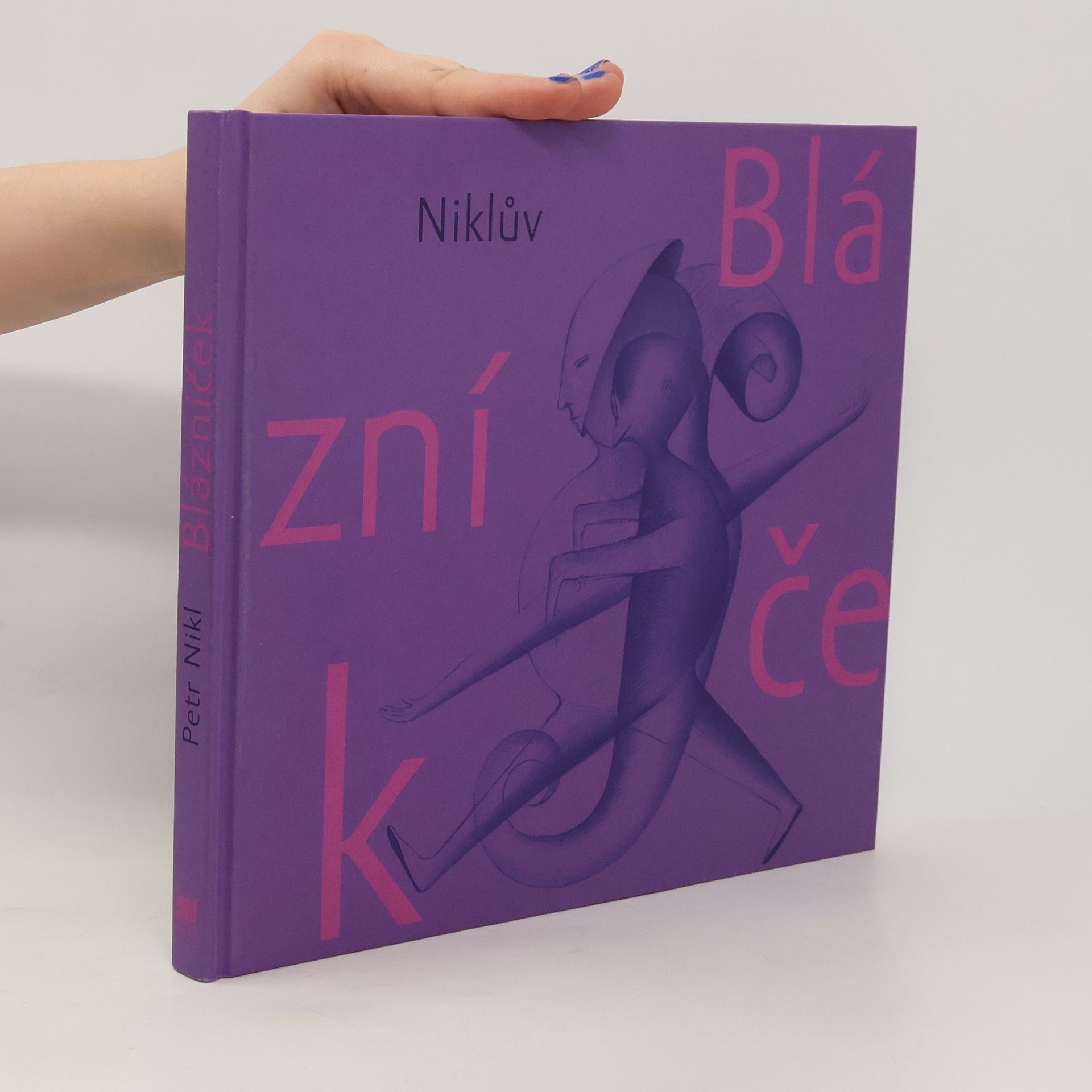 Petr Nikl Niklův Blázníček