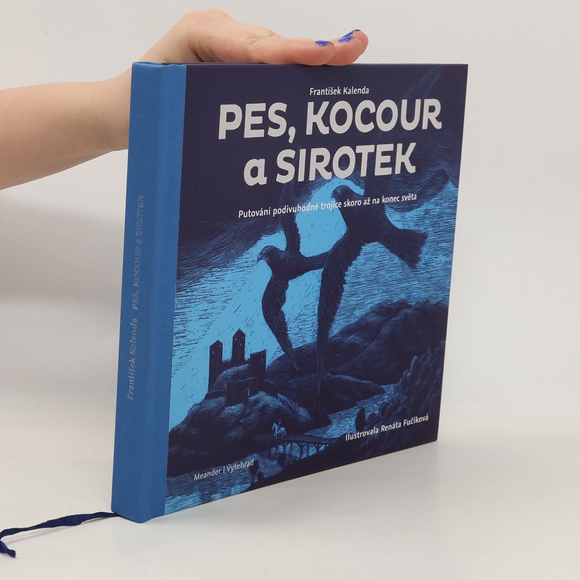 Renáta Fučíková Pes, kocour a sirotek