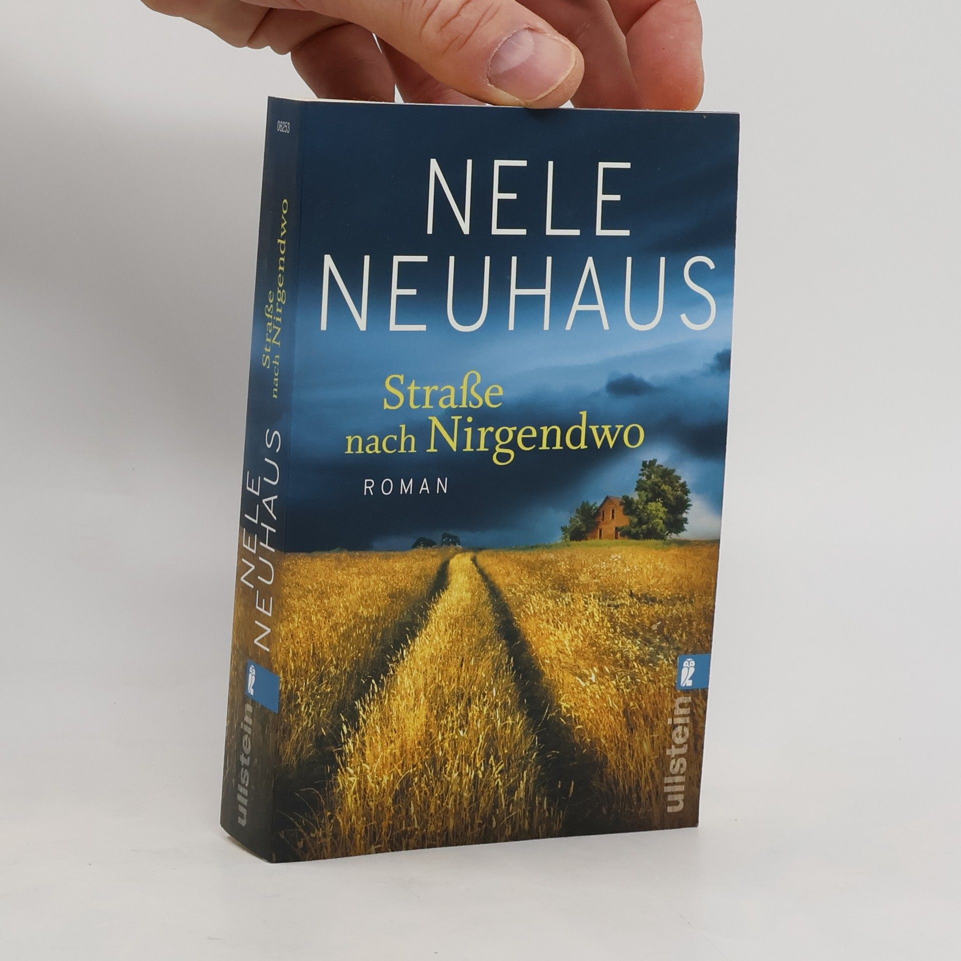 Nele Neuhaus Straße nach Nirgendwo