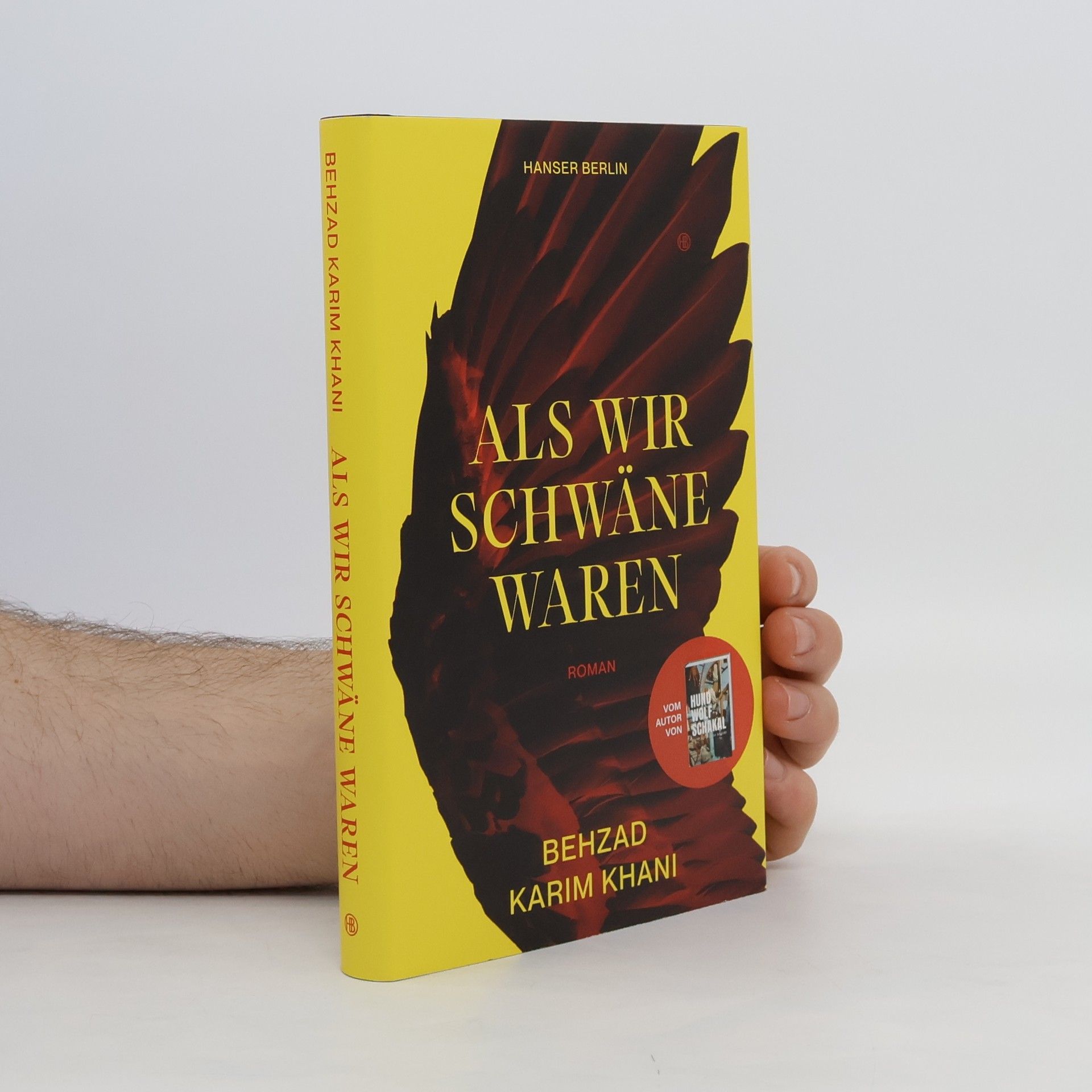 Behzad Karim Khani Als wir Schwäne waren