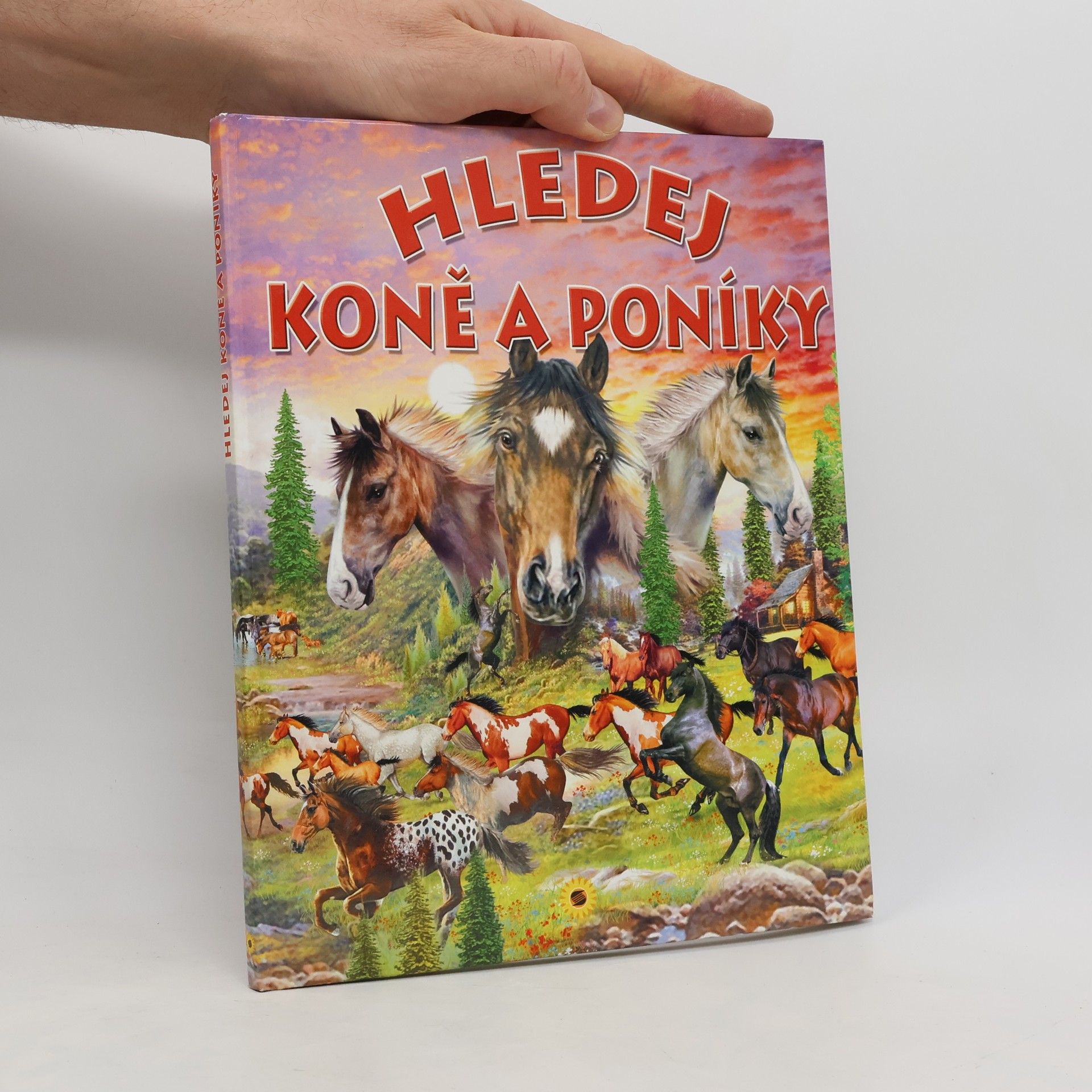 Francisco Arredondo Hledej koně a poníky