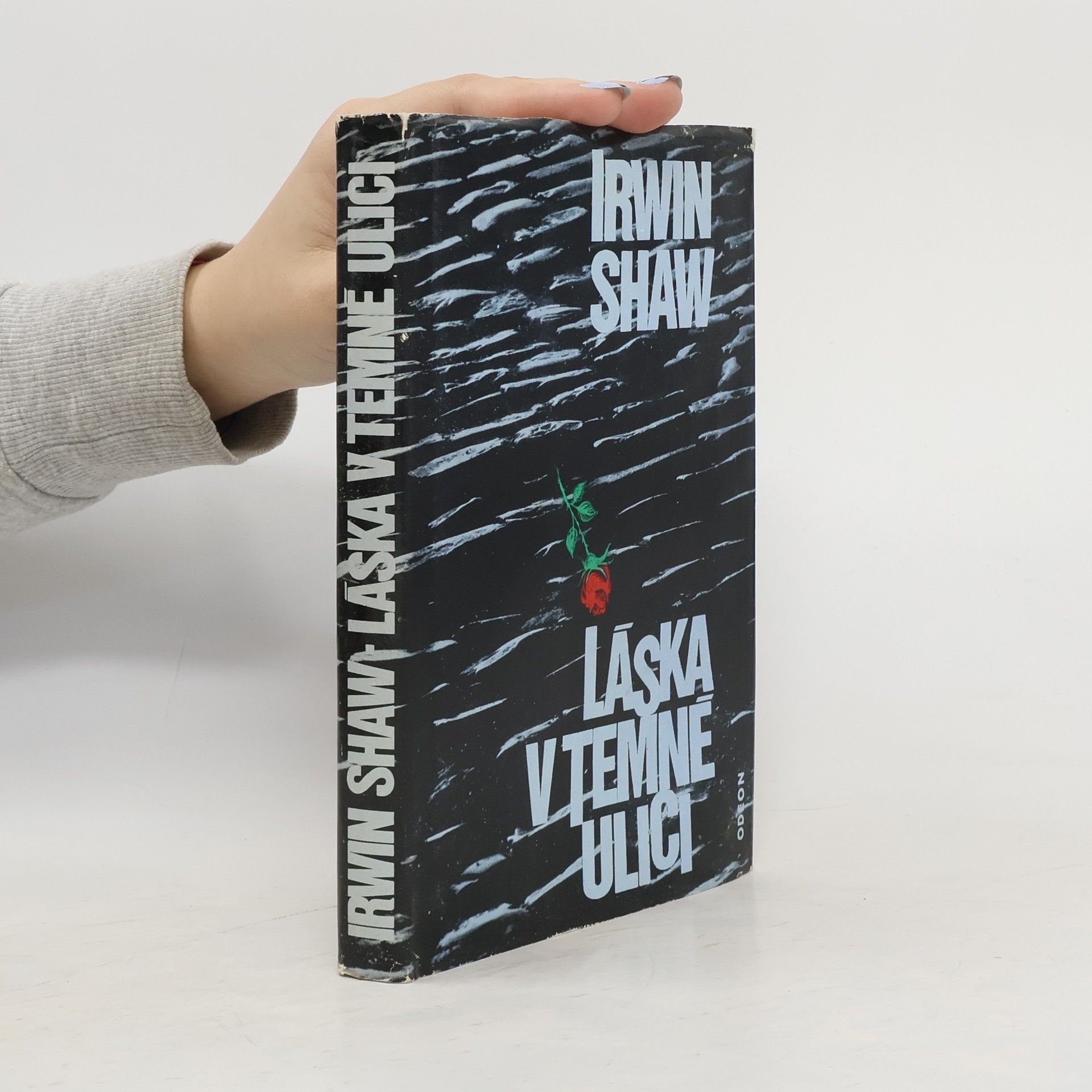 Irwin Shaw Láska v temné ulici