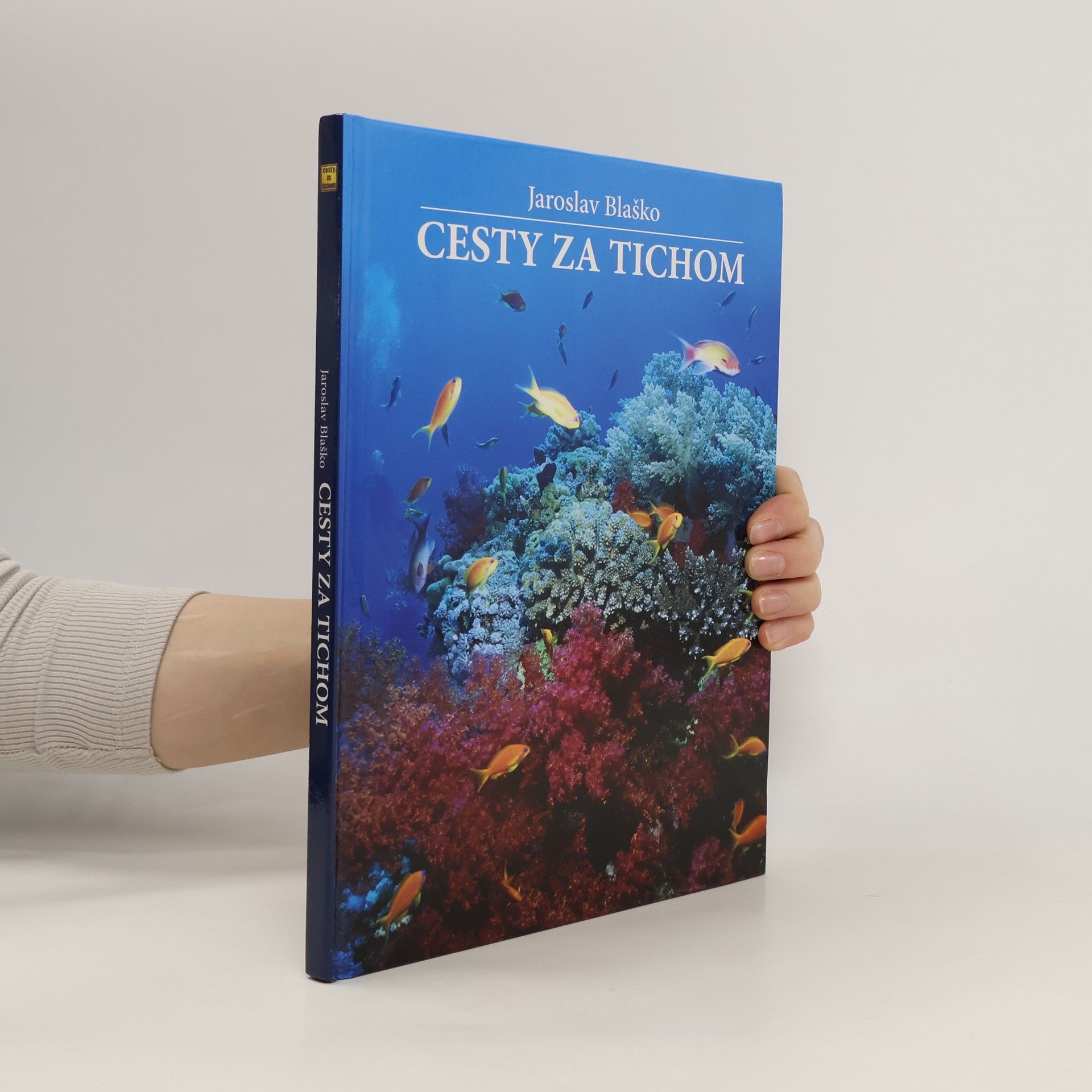 Jaroslav Blaško Cesty za tichom