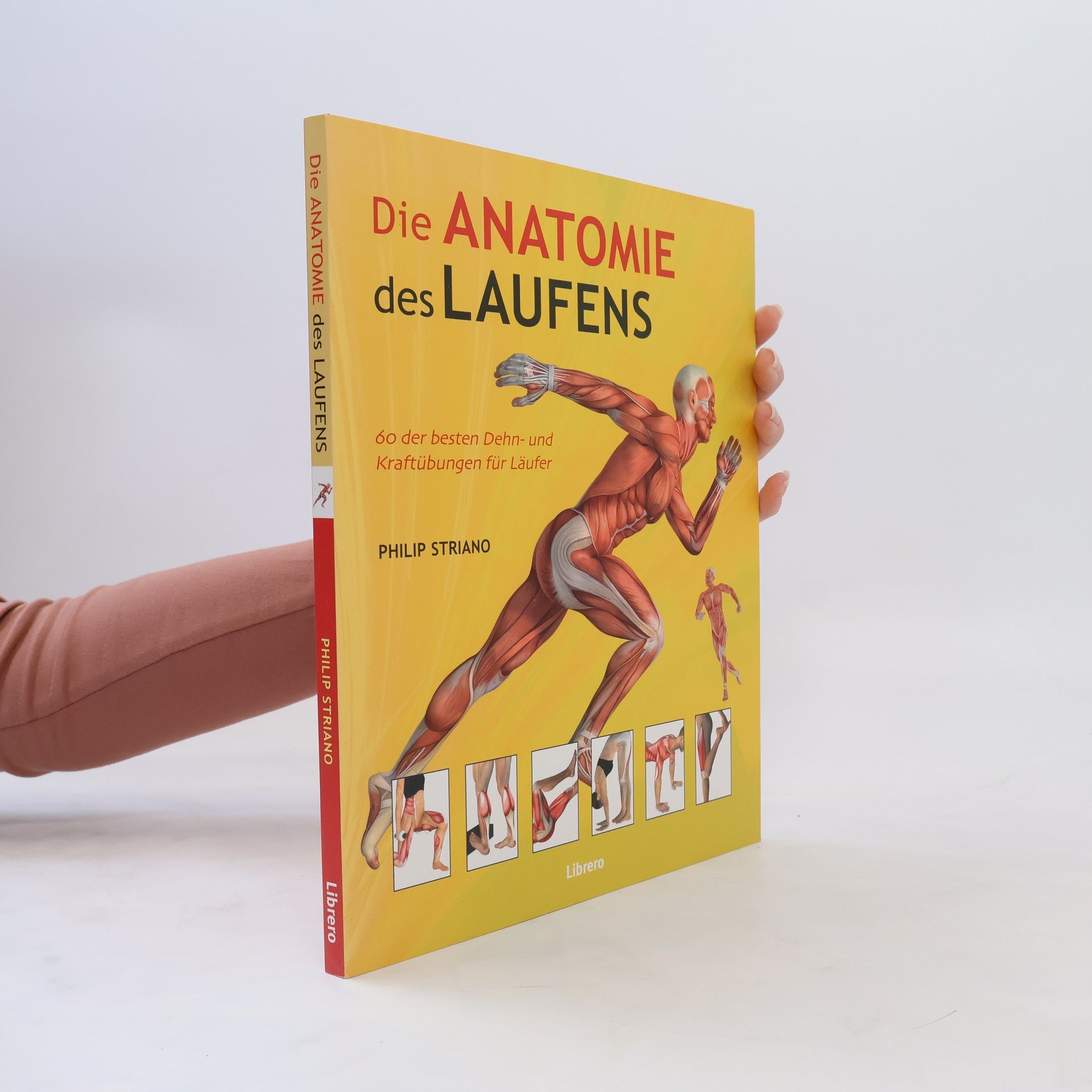 Philip Striano Die Anatomie des Laufens