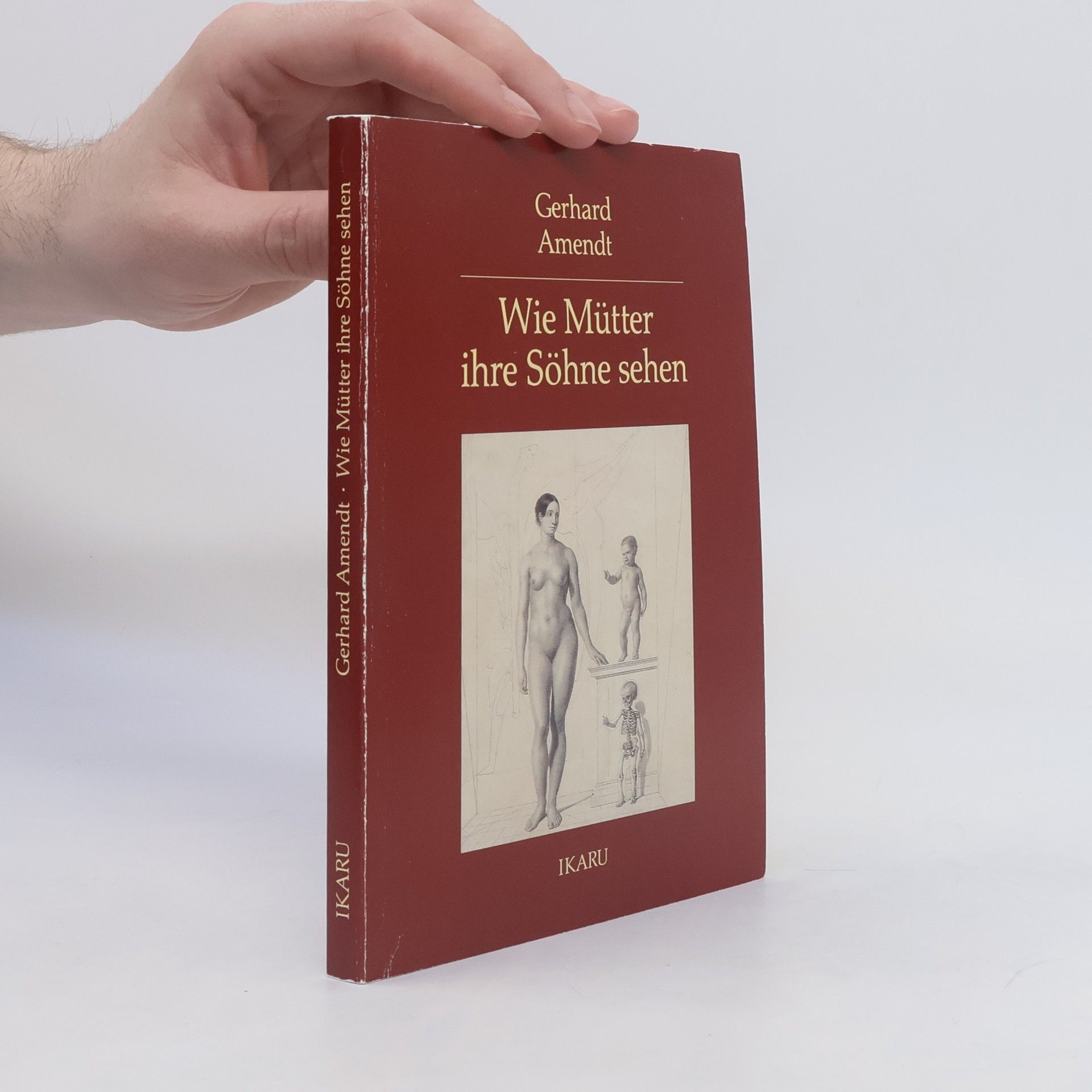 Gerhard Amendt Wie Mütter ihre Söhne sehen