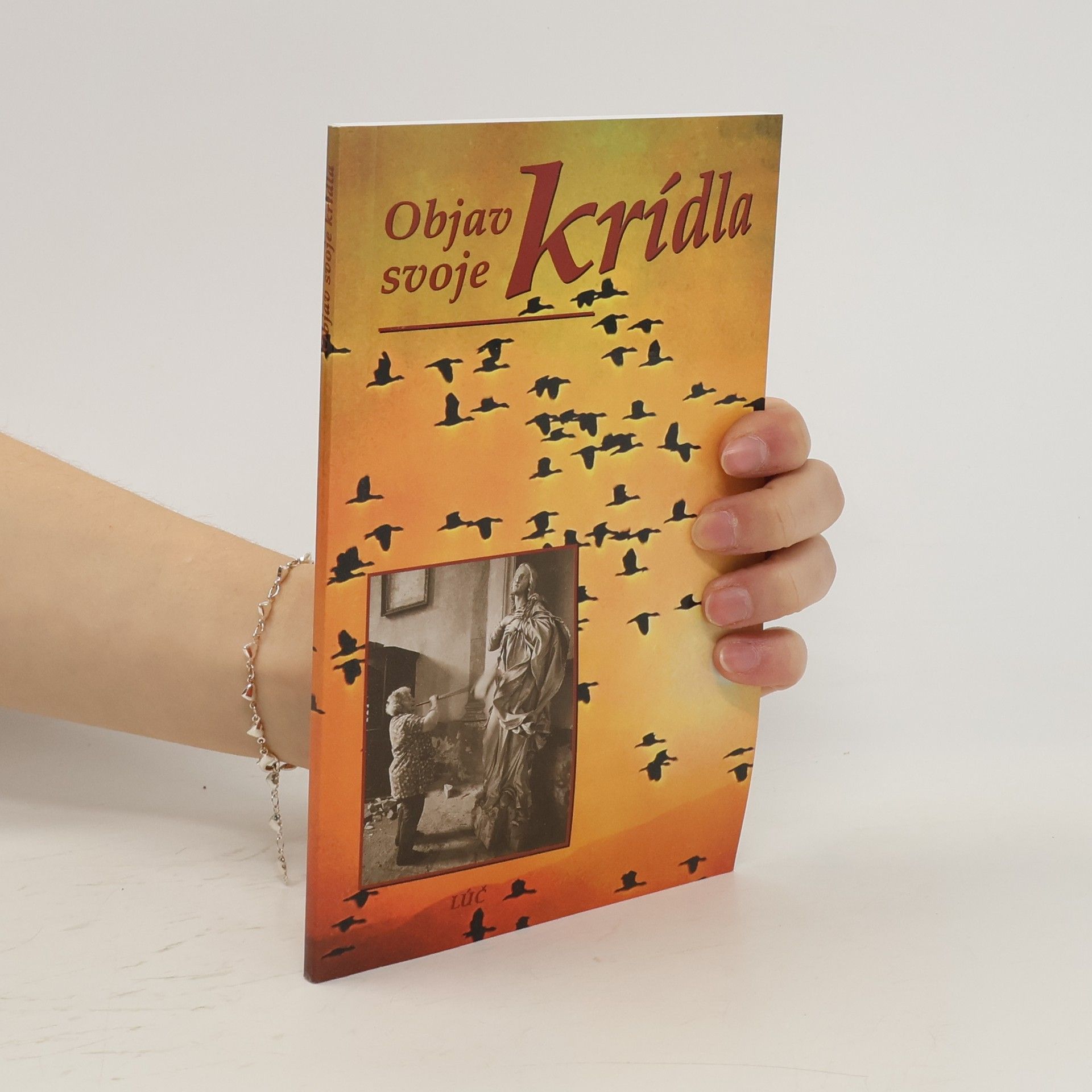 Willy Hoffsümmer Objav svoje krídla