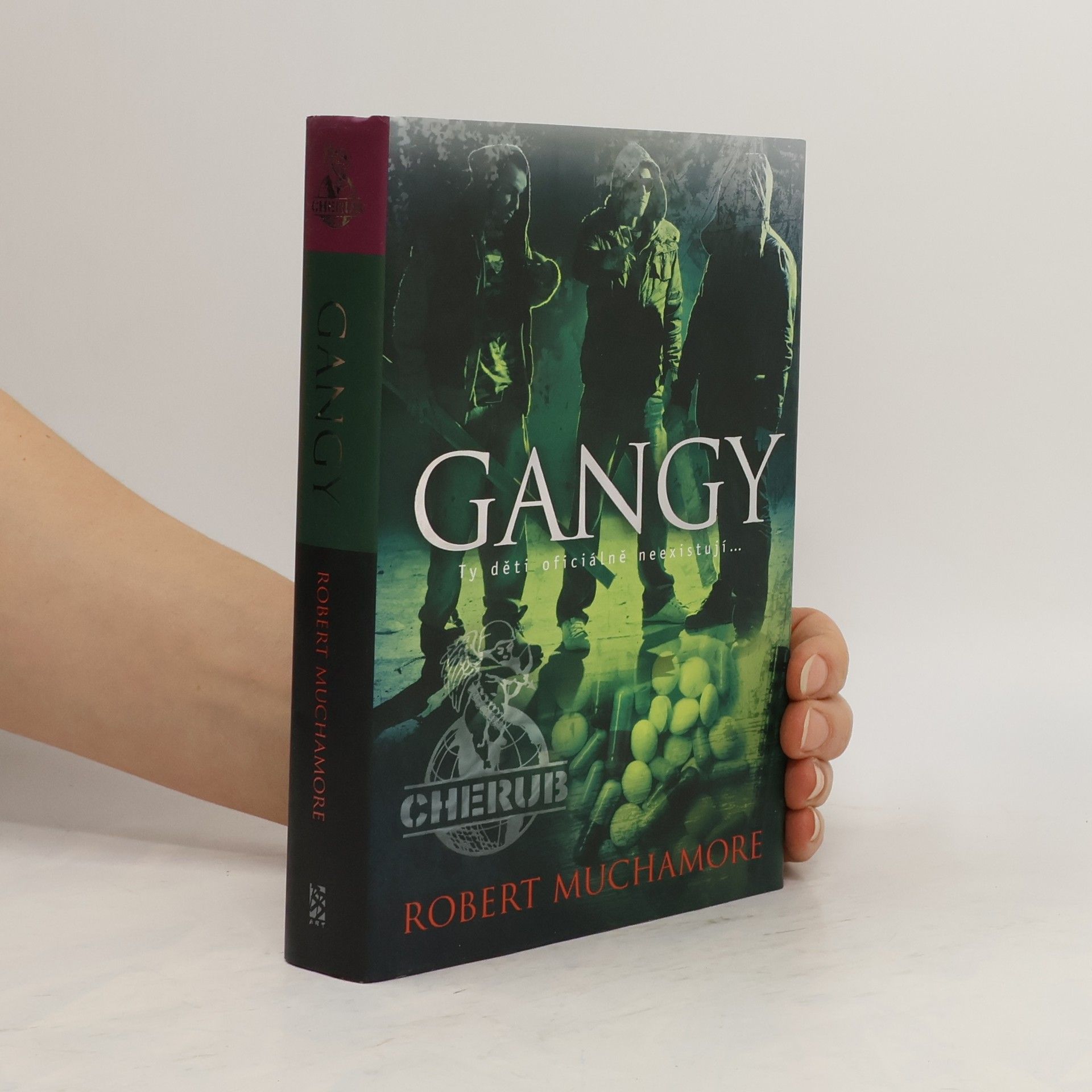 Robert Muchamore Gangy
