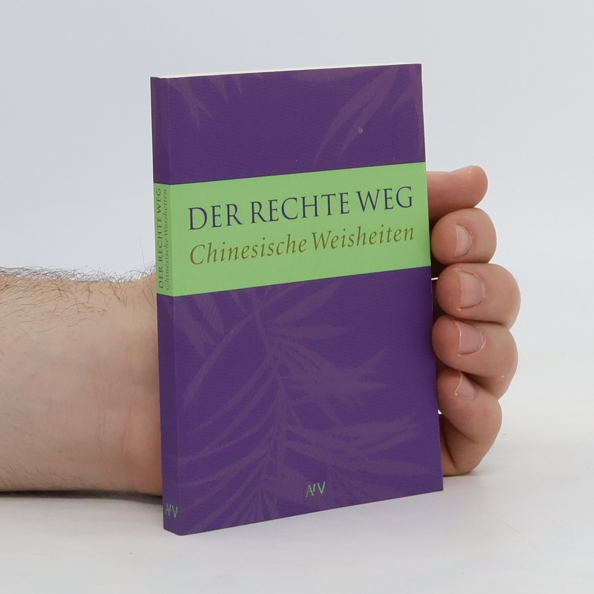 Ernst Schwarz Der rechte Weg