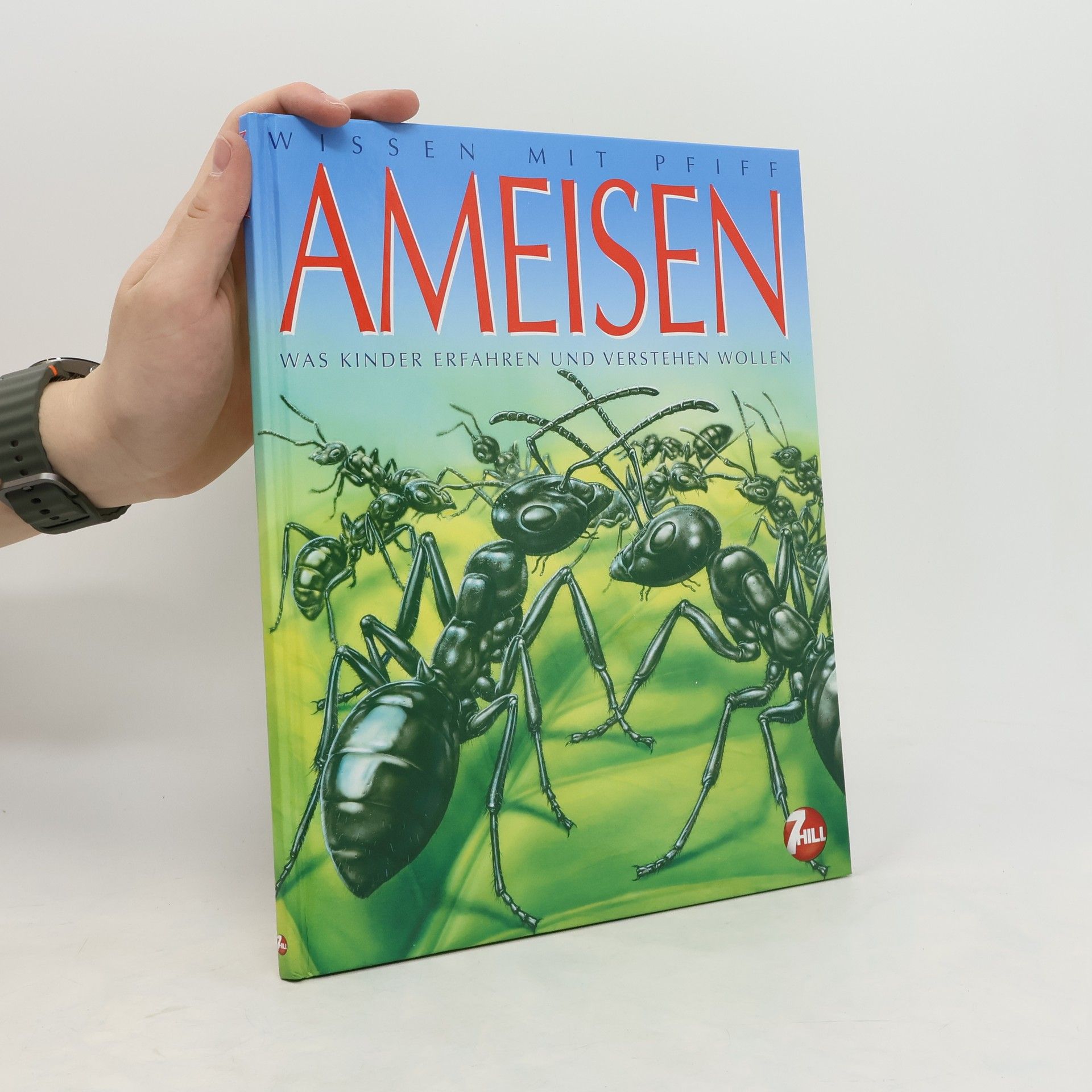 Sabine Boccador Ameisen