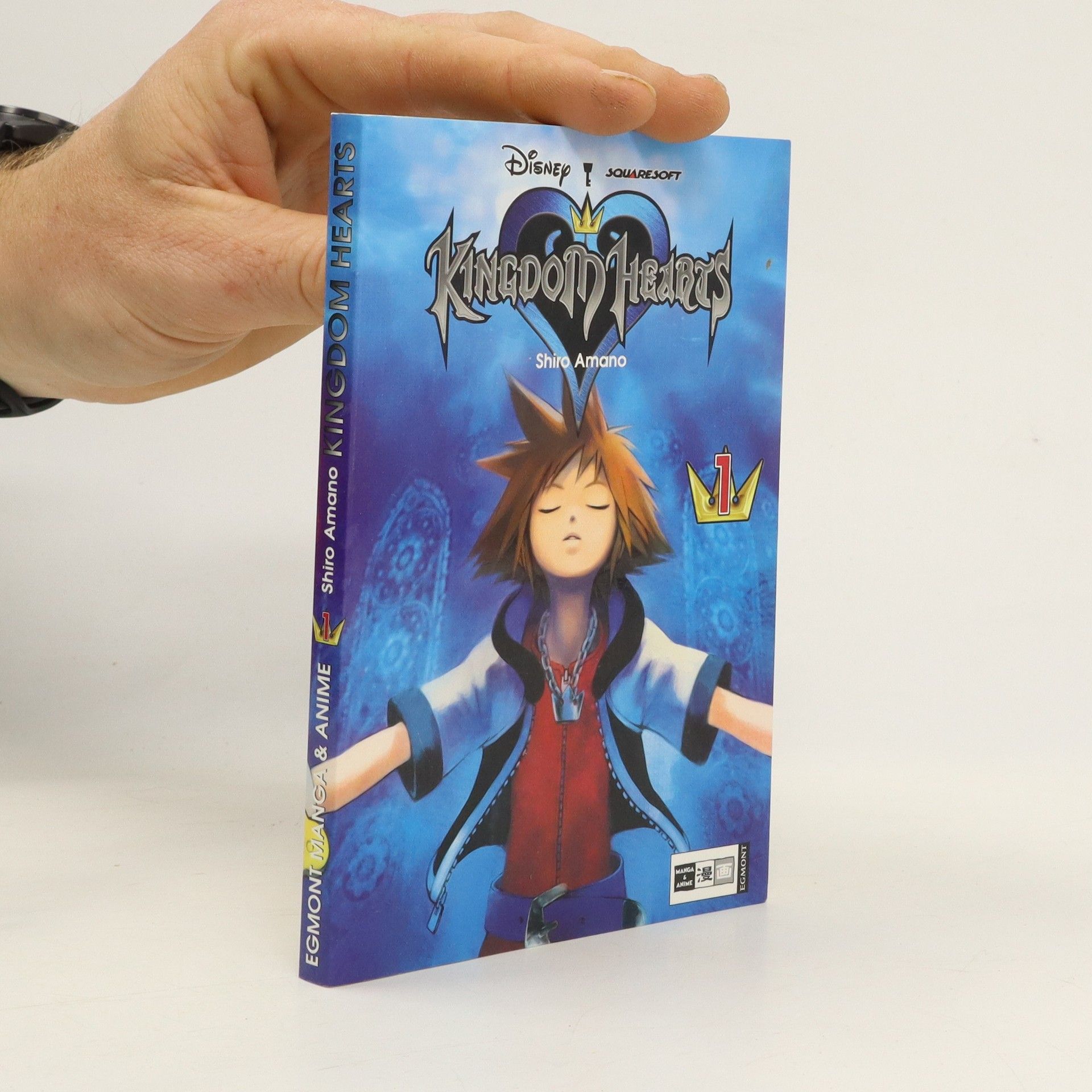 Collective Kingdom hearts