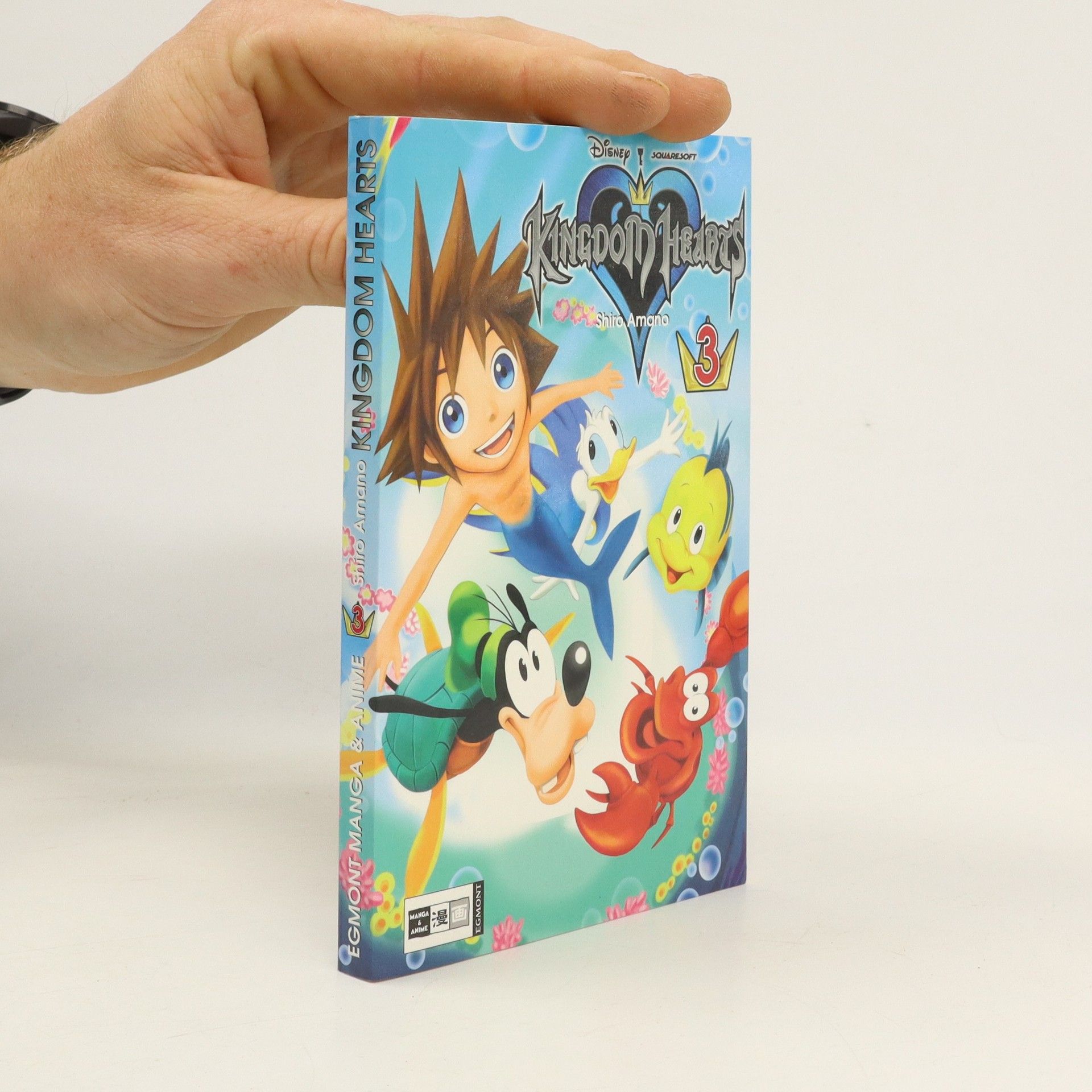Autorenkollektiv Kingdom hearts