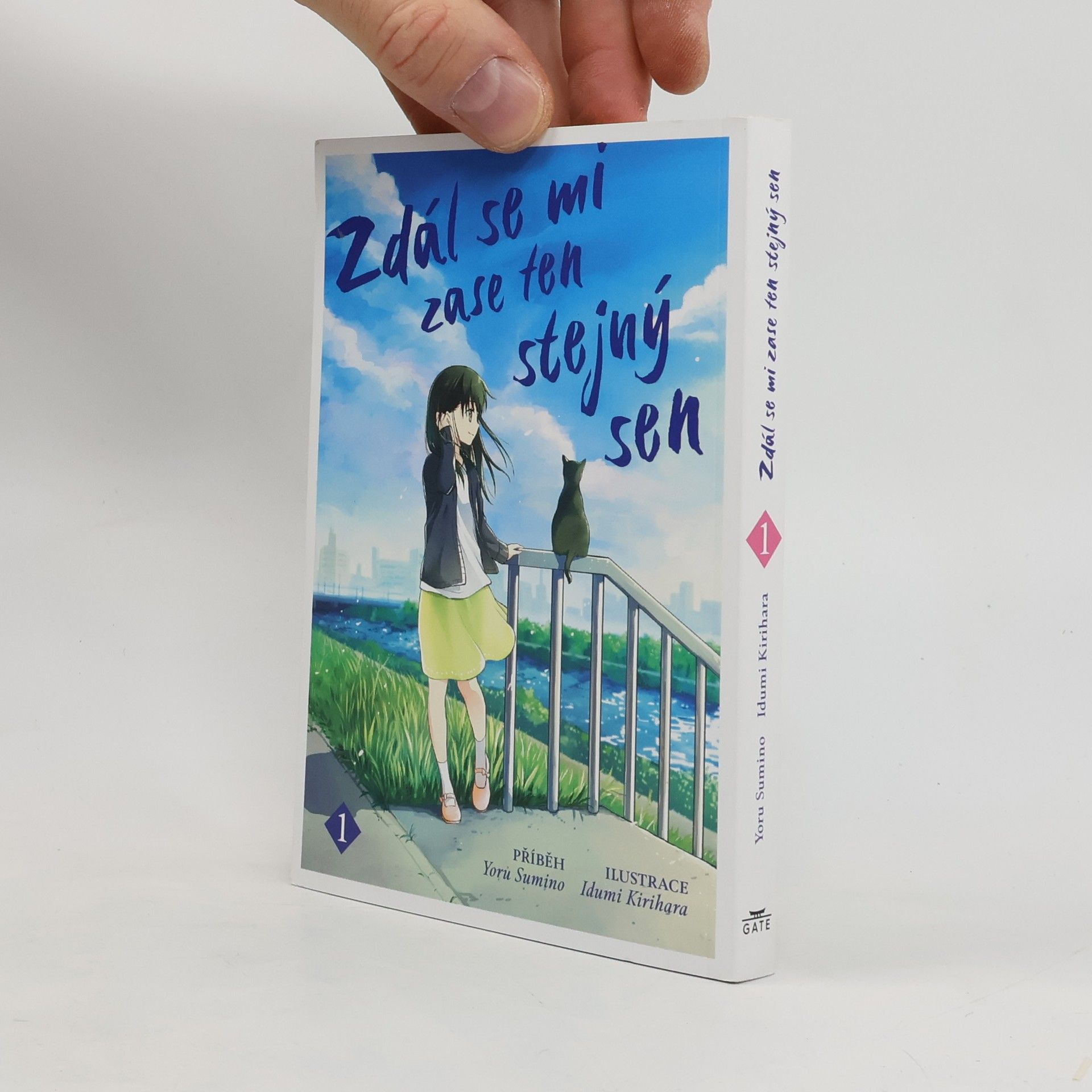 Joru Sumino Zdál se mi zase ten stejný sen 1
