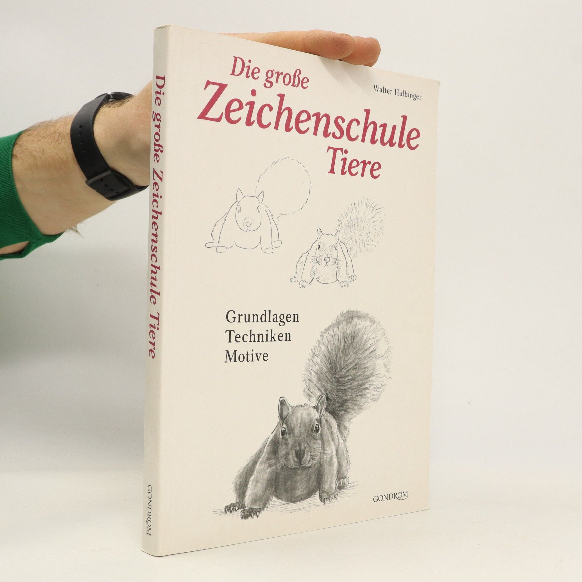 Walter Halbinger Die große Zeichenschule