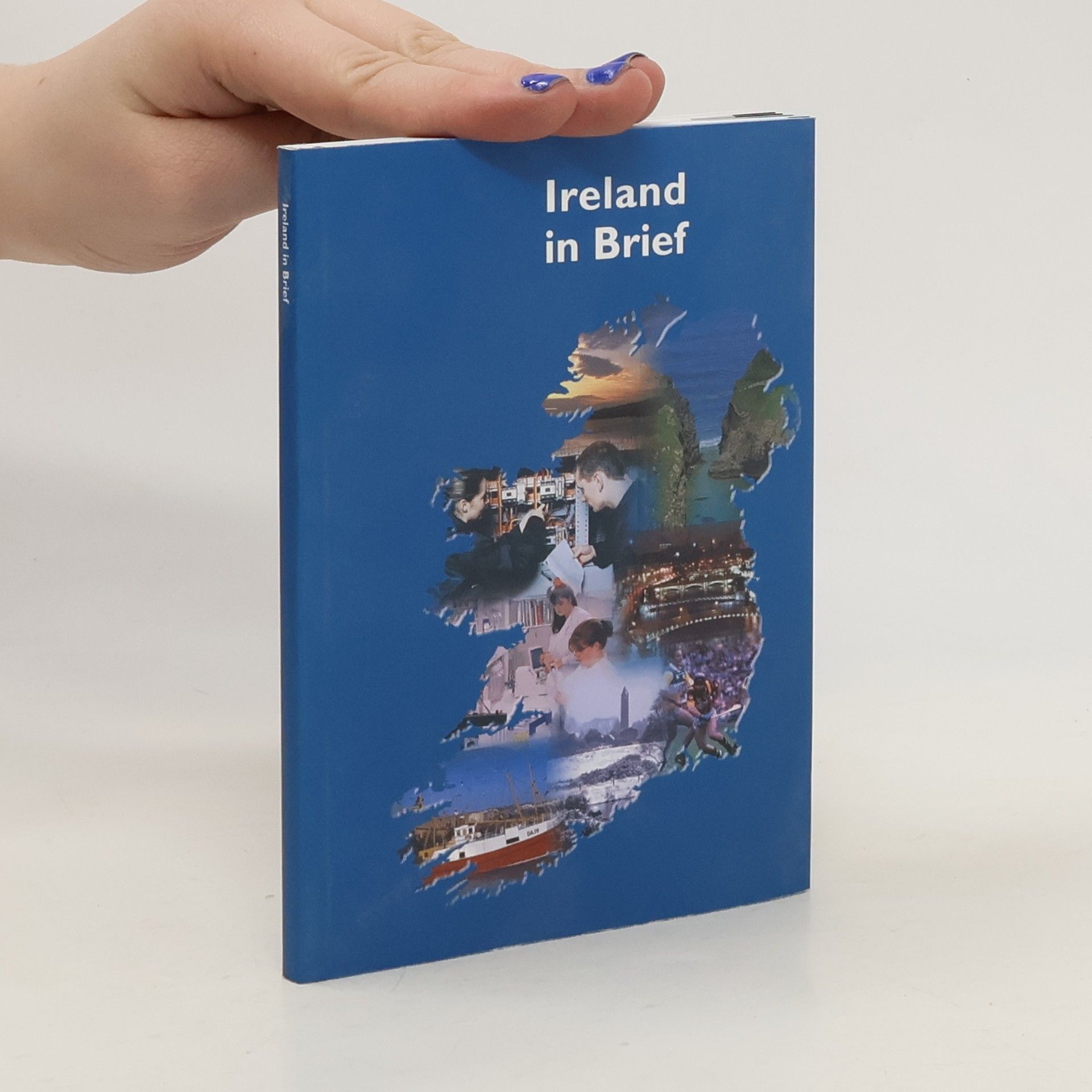 Kolektív autorov Ireland in Brief
