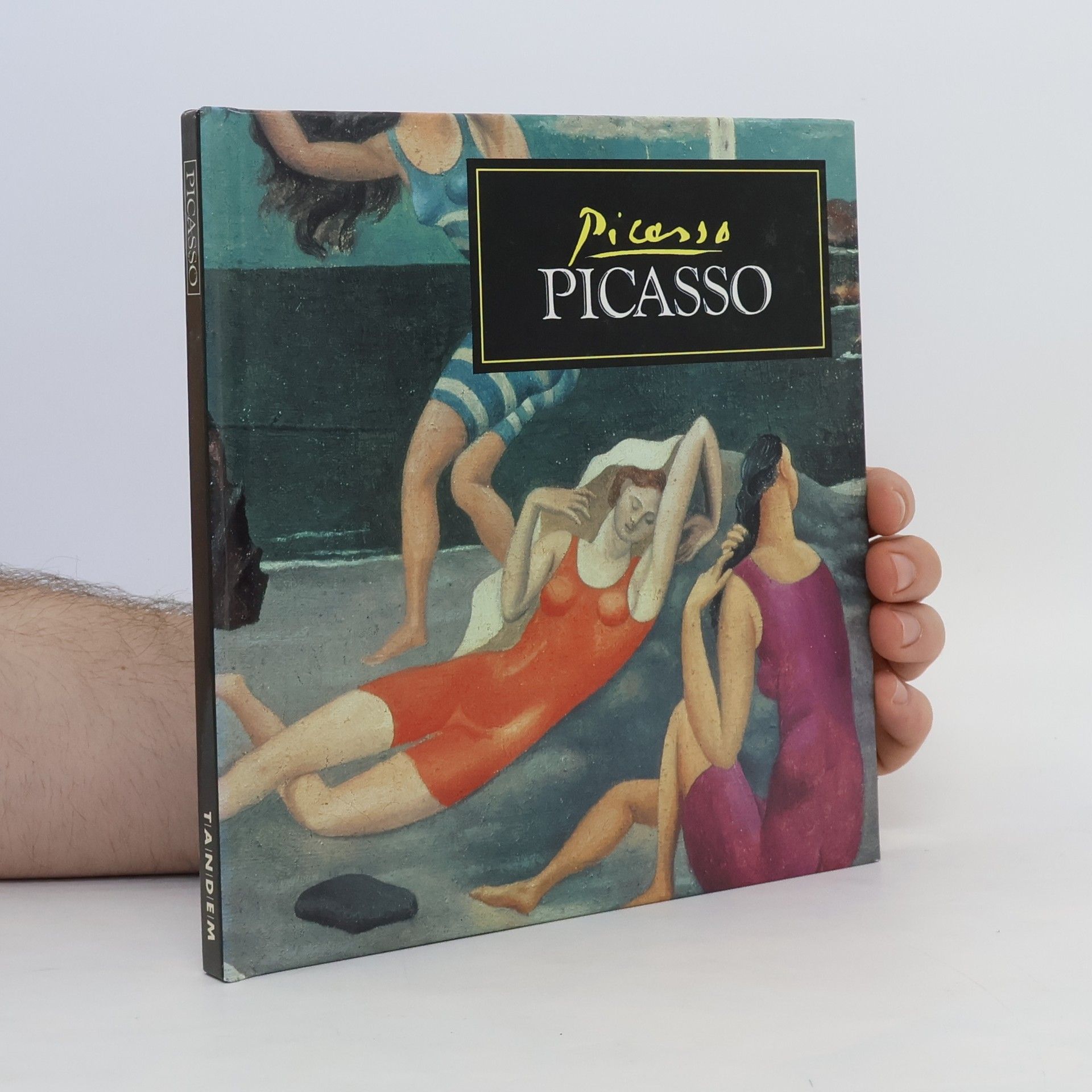 kolektiv Picasso