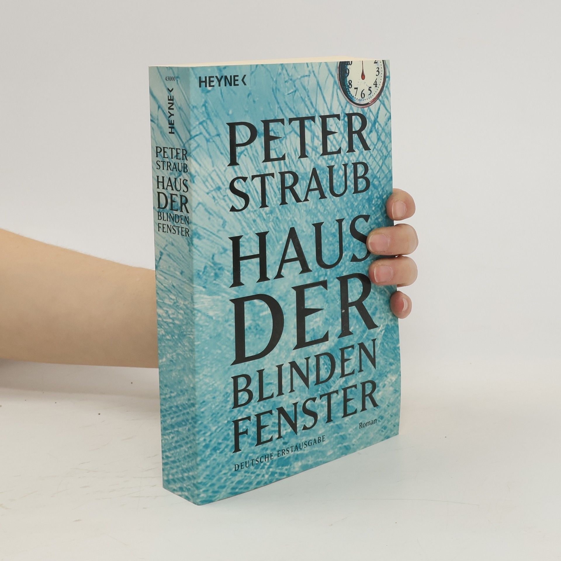 Peter Straub Haus der blinden Fenster