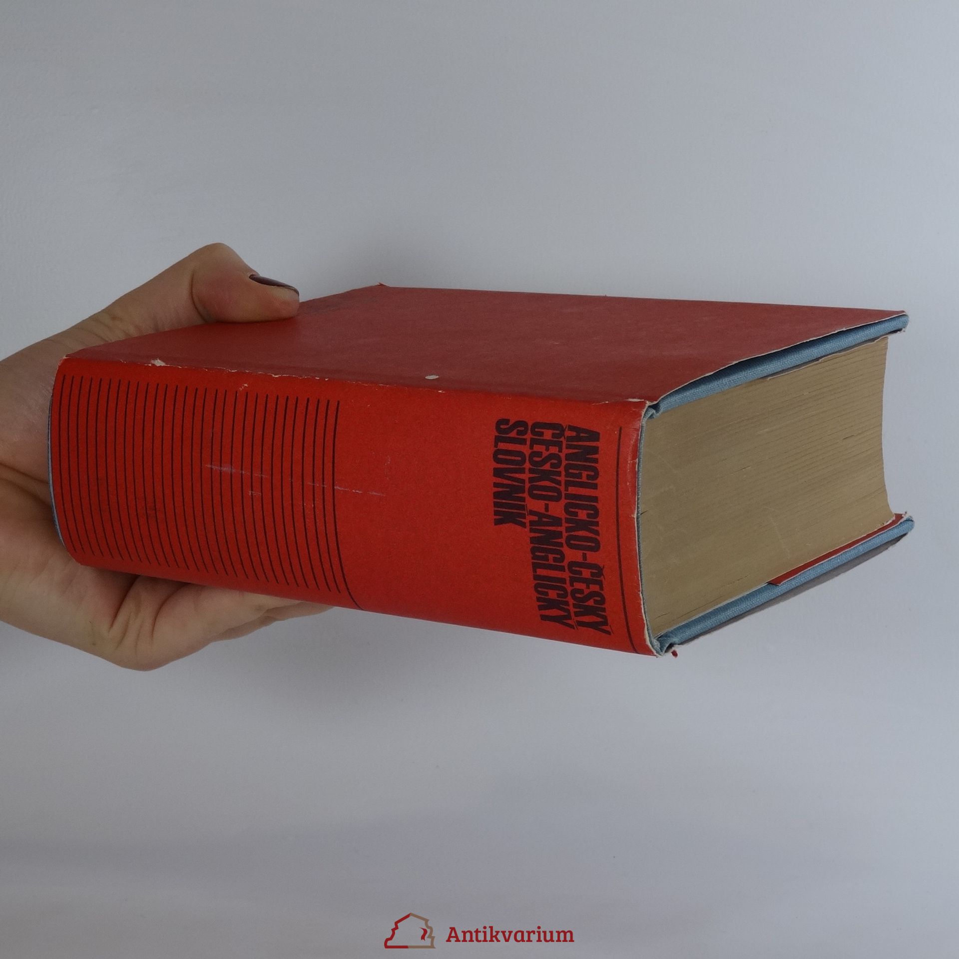 Various authors Anglicko-český, česko-anglický slovník