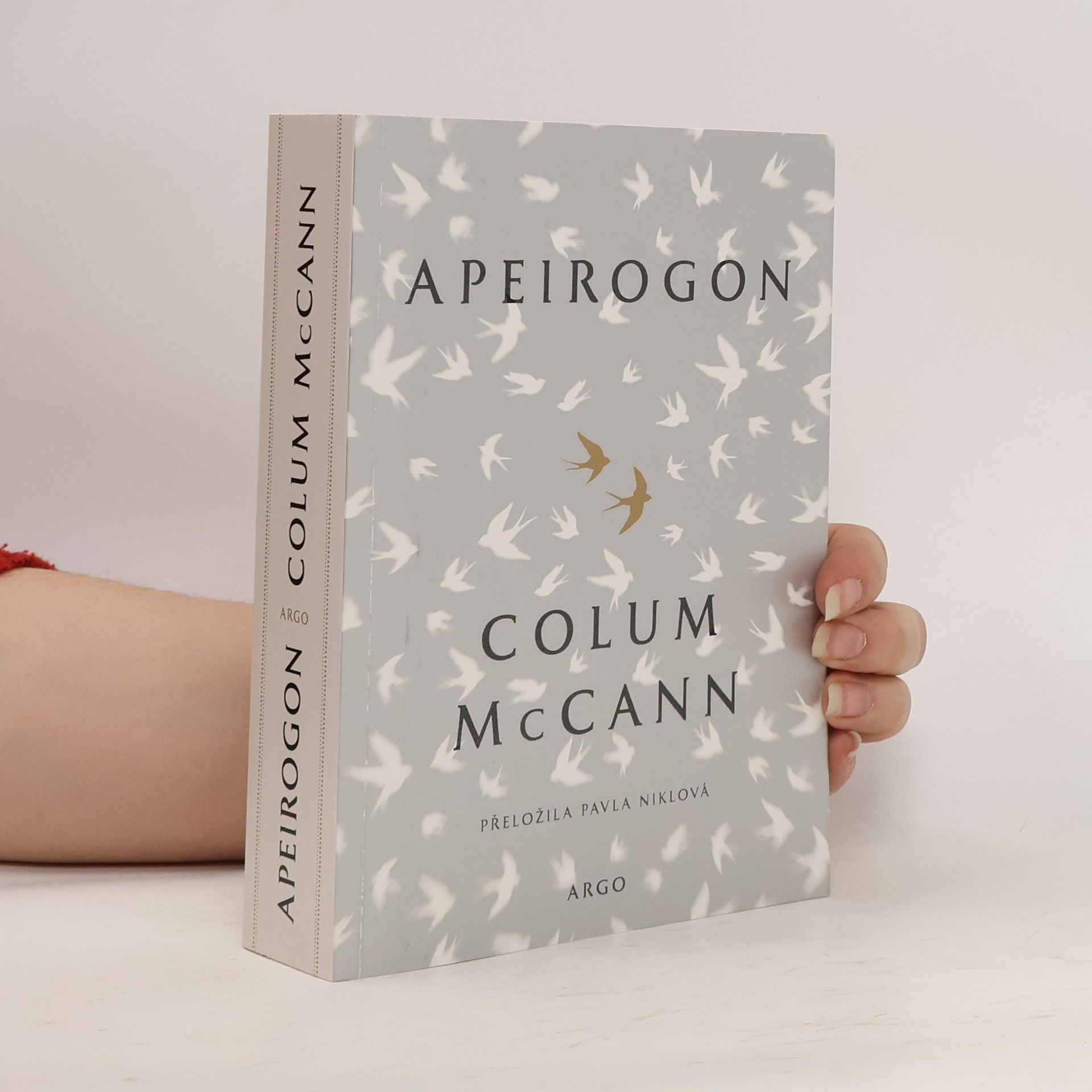 Colum McCann Apeirogon