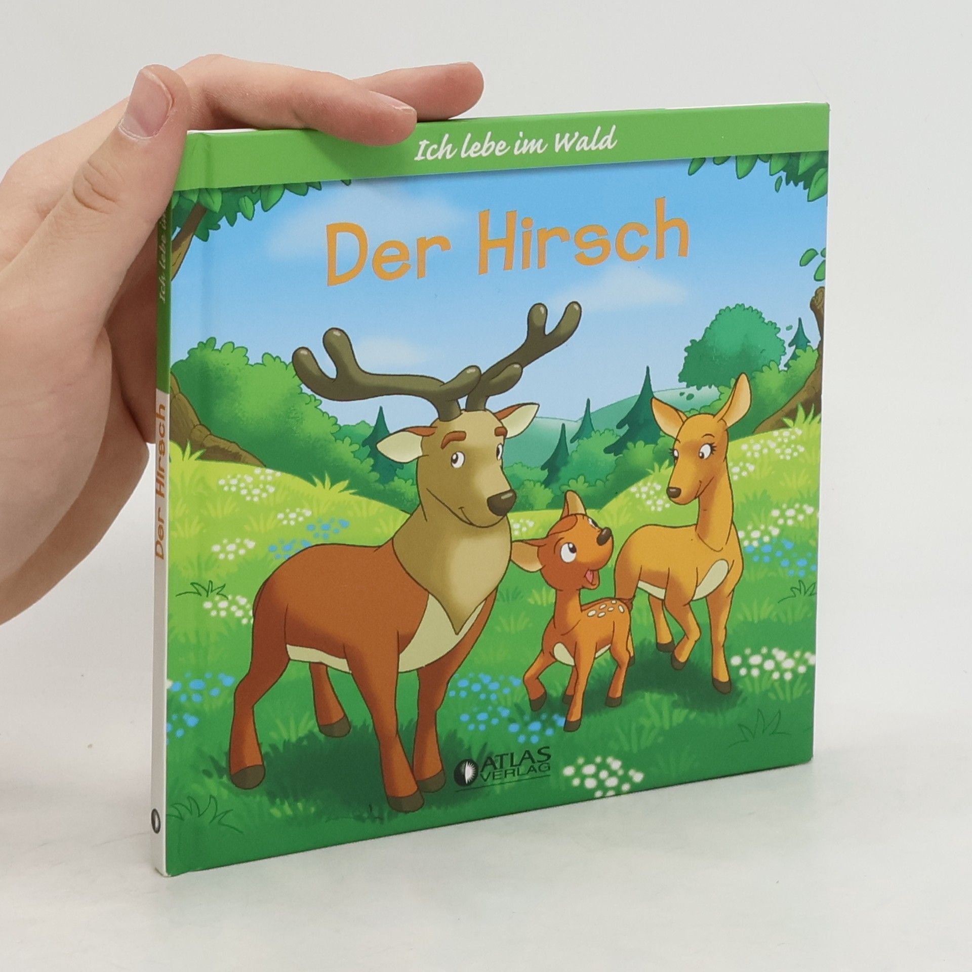 kolektiv Der Hirsch