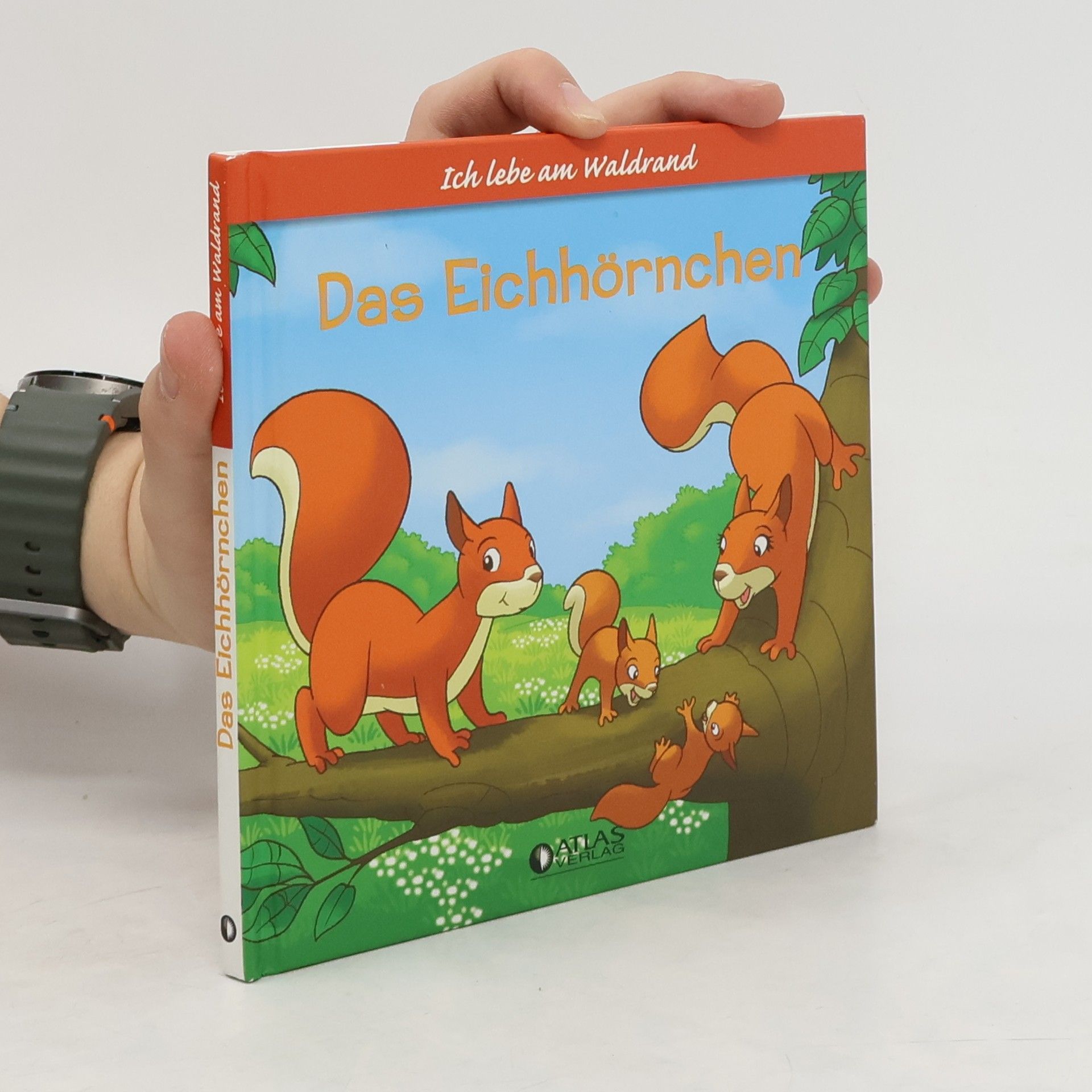 Feryal Kanbay Das Eichhörnchen