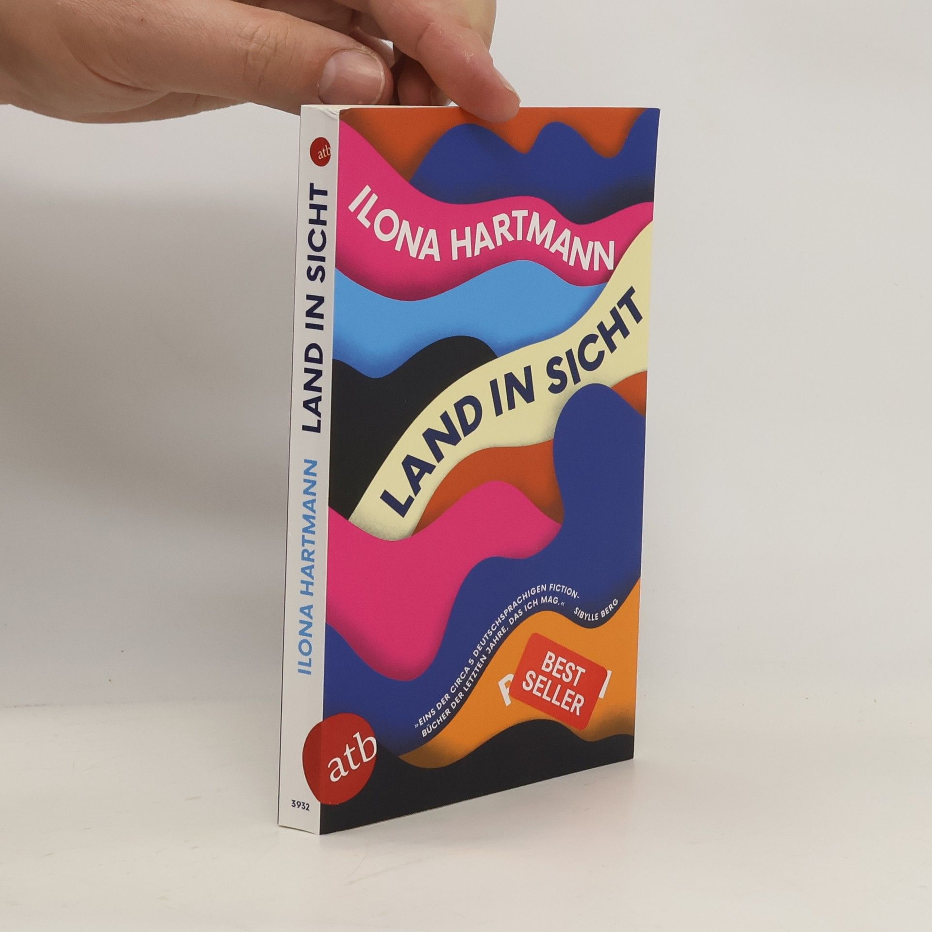 Ilona Hartmann Land in Sicht
